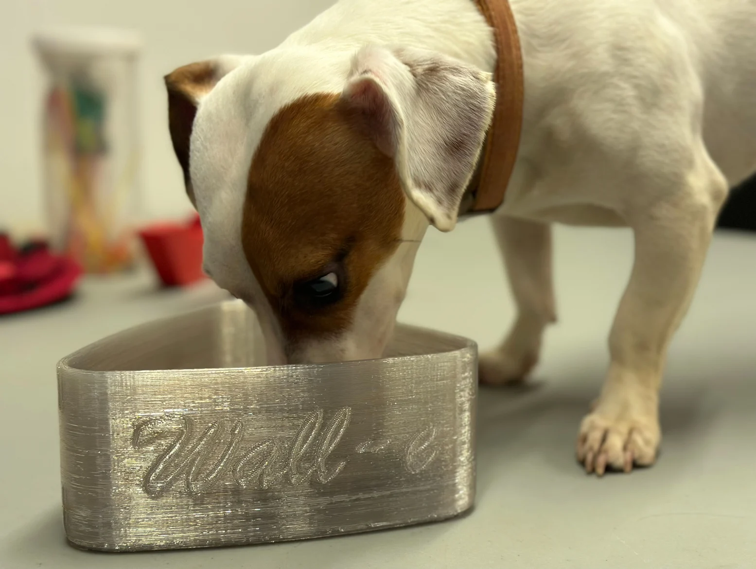 Wall-e's Food Bowl