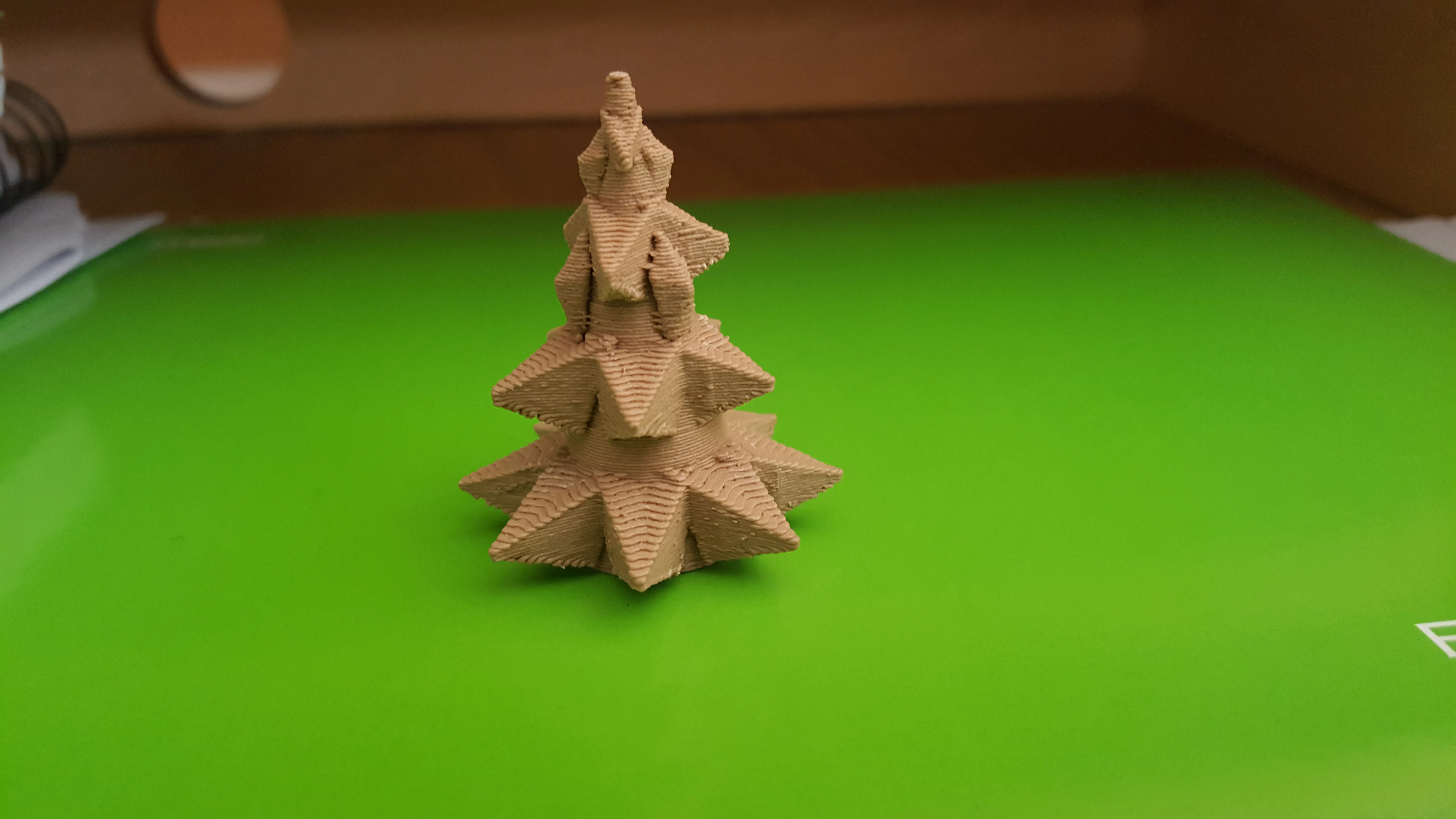 Fir Tree Polygon