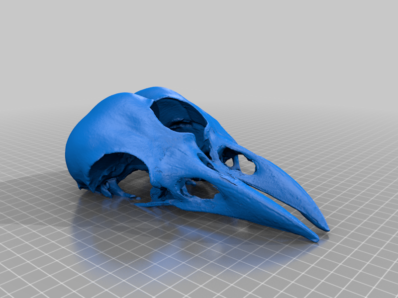 Twincrowskull