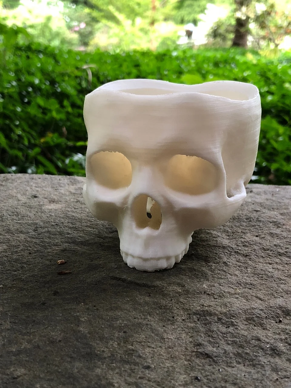 Skull Pot