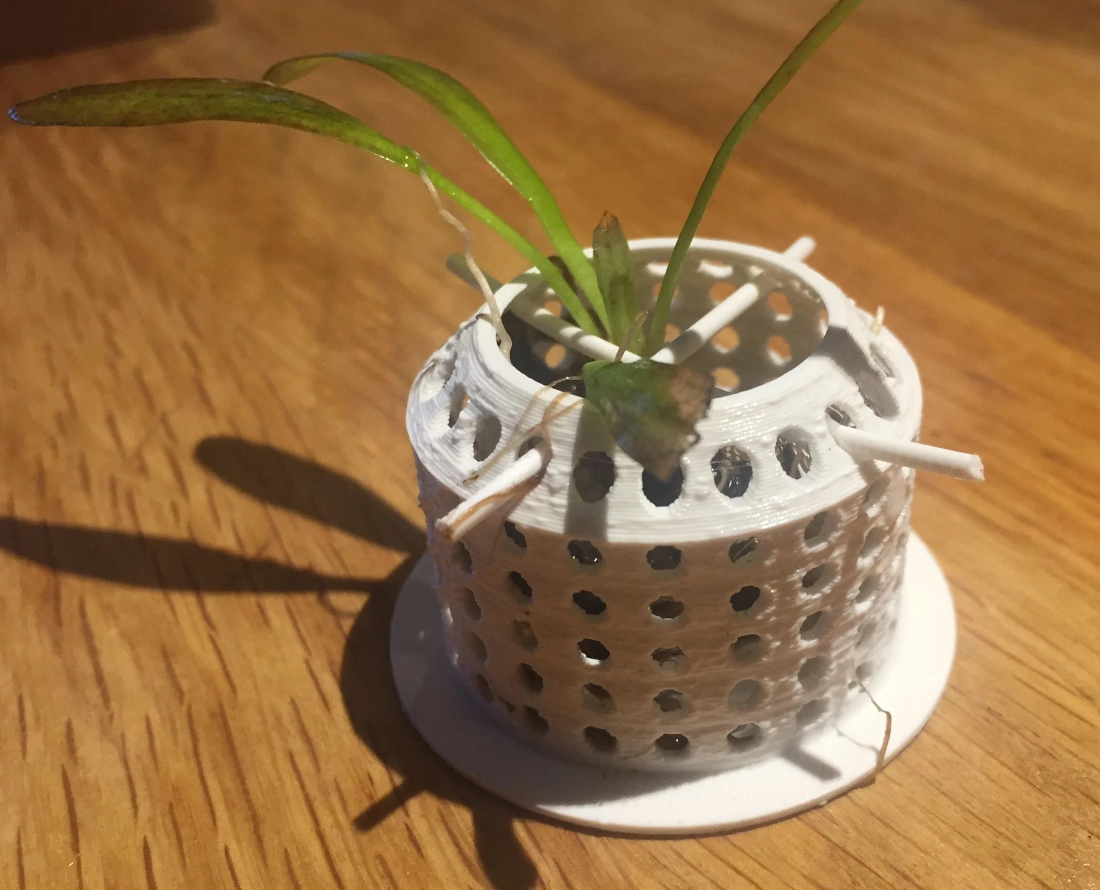 Aquarium planter