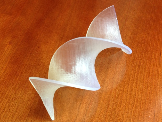 Helicoid Full Twist