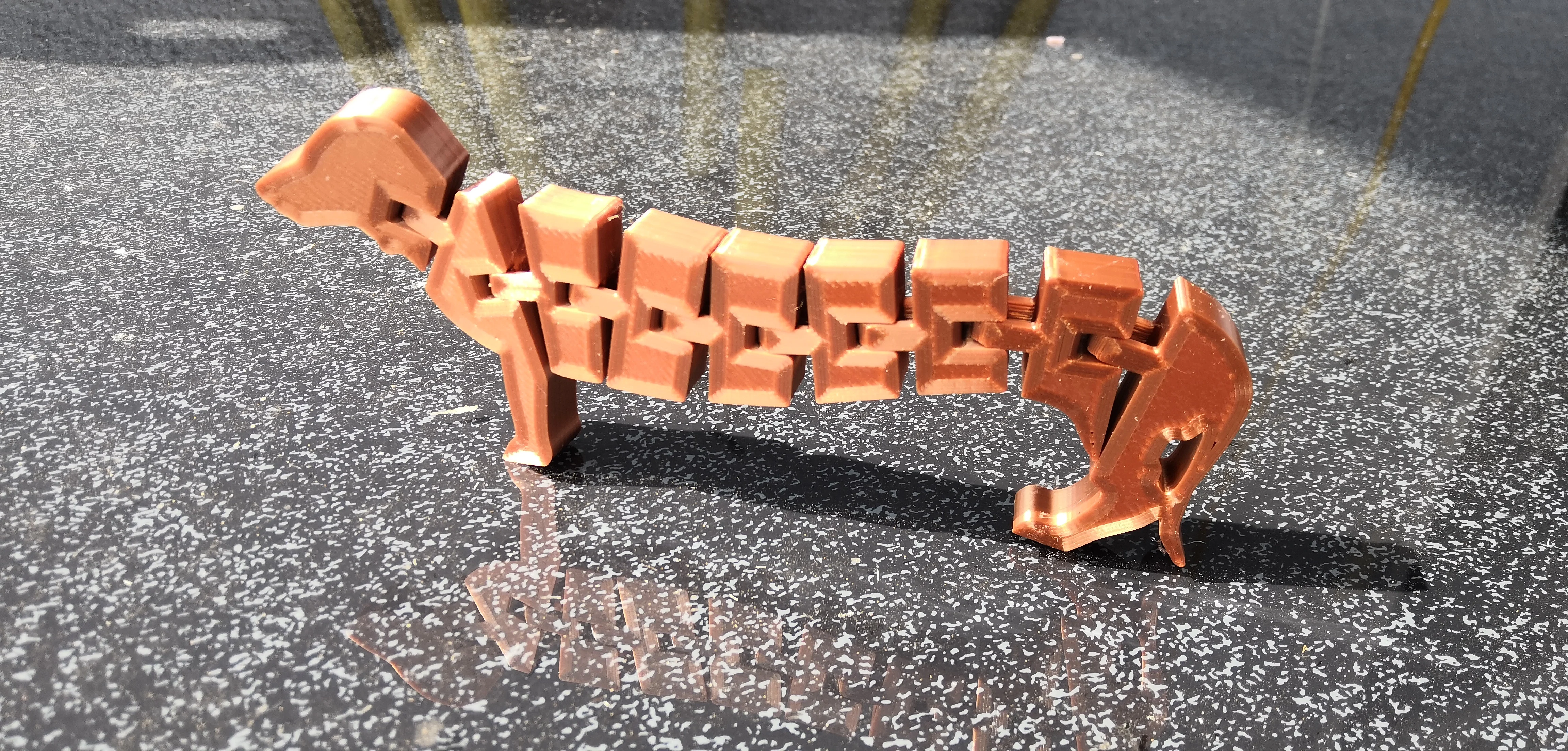 Flexi Dachshund