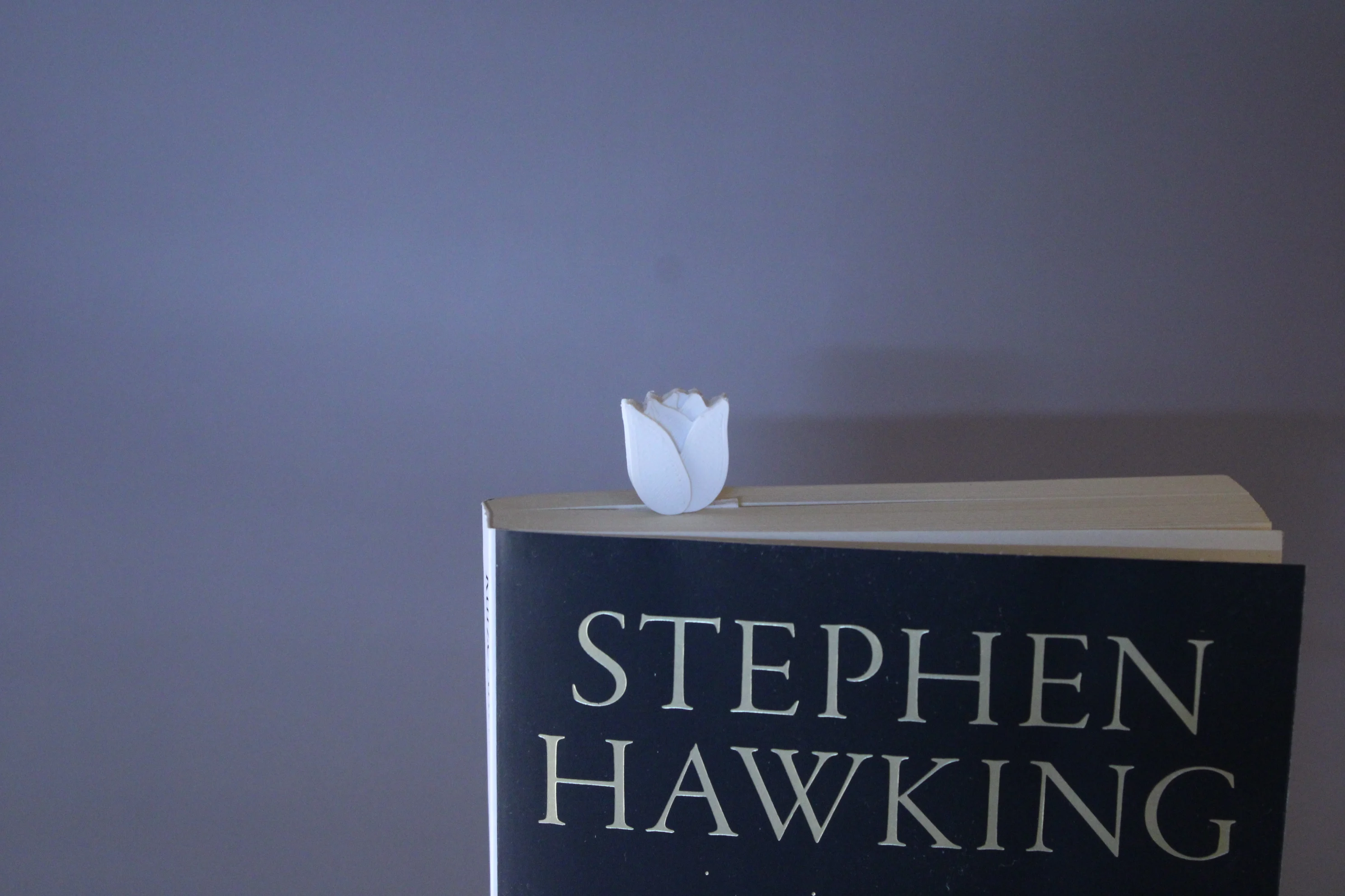 Tulip Bookmark (Fast & Easy Print, No Supports)