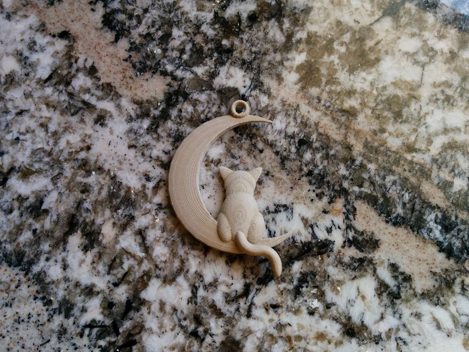 Cat and Moon