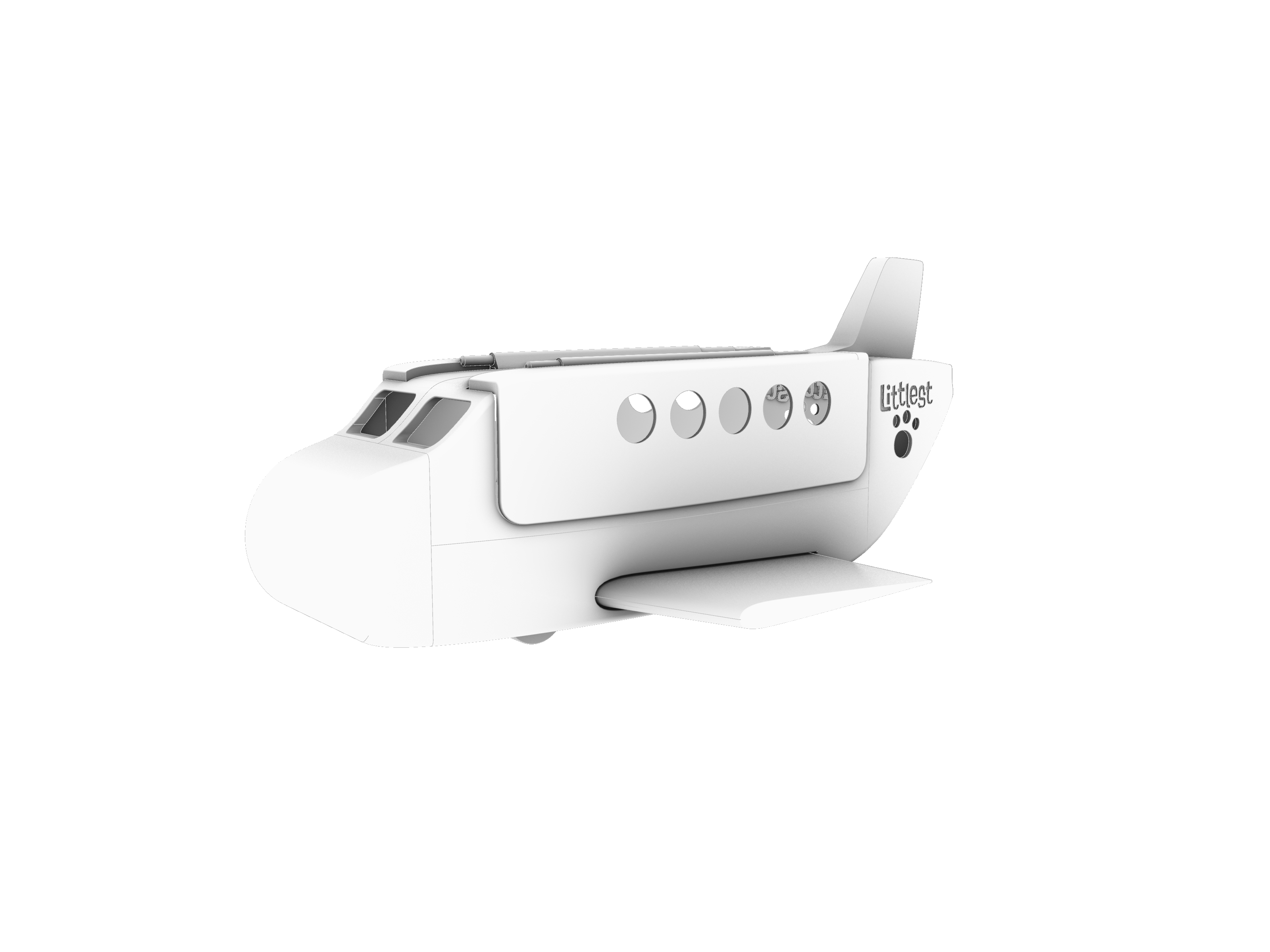 Littlest Airliner