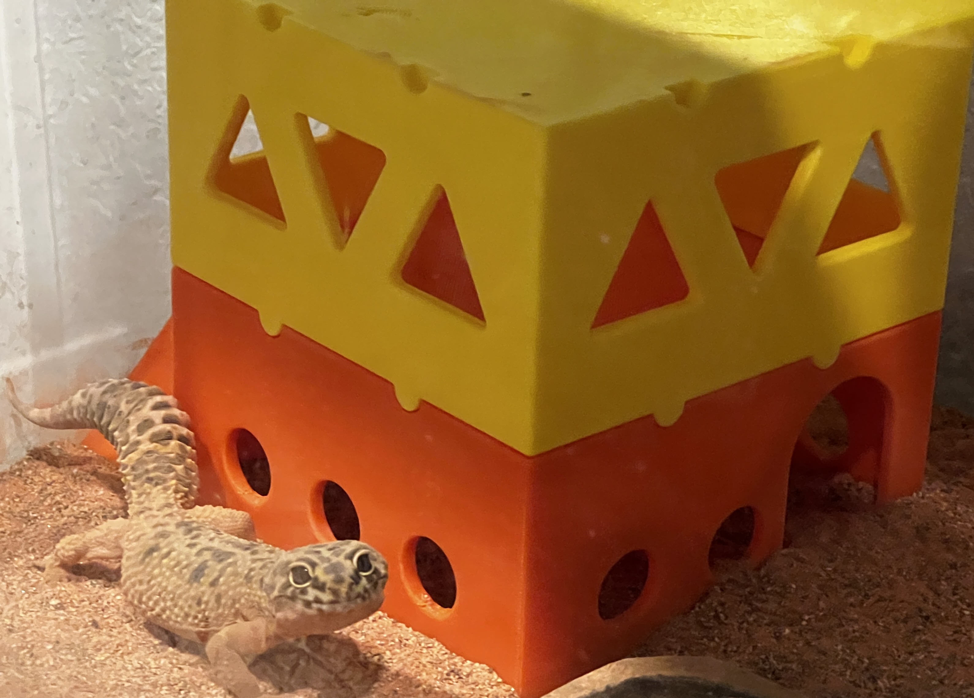 Stackable Reptile Hide