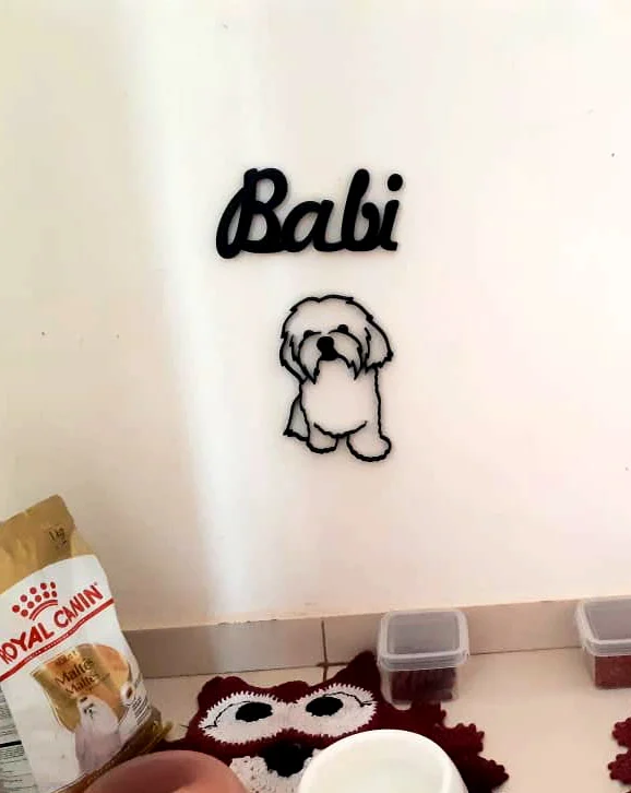 Maltese Dog
