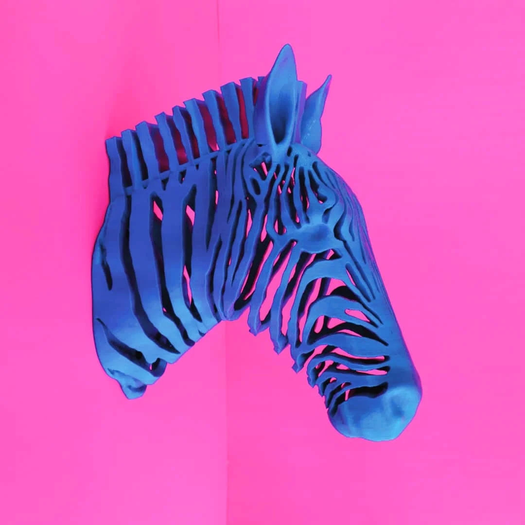 Zebra Stripes
