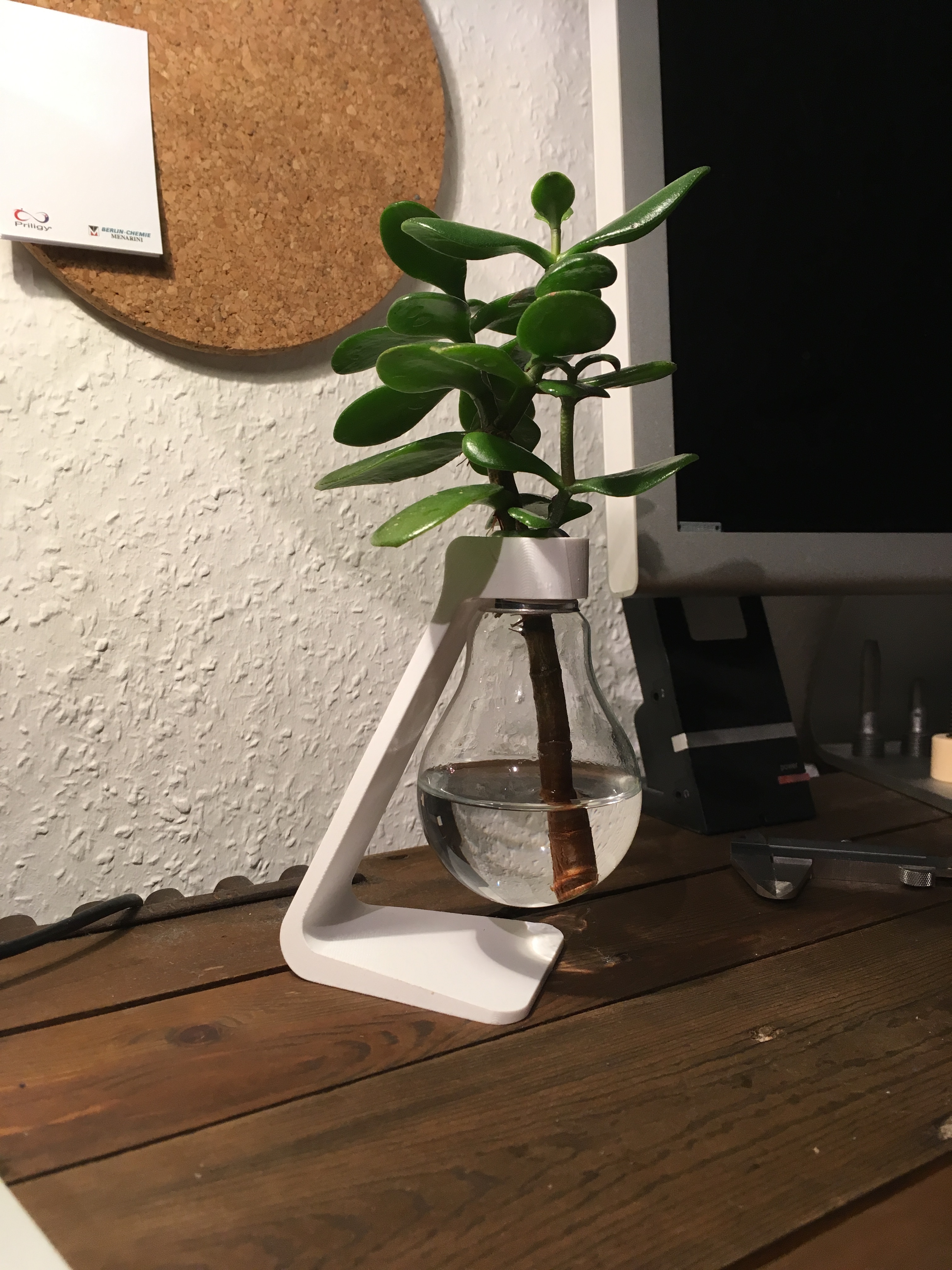 Light Bulb Vase