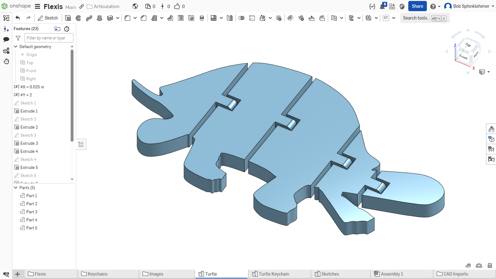 Turtle Flexi