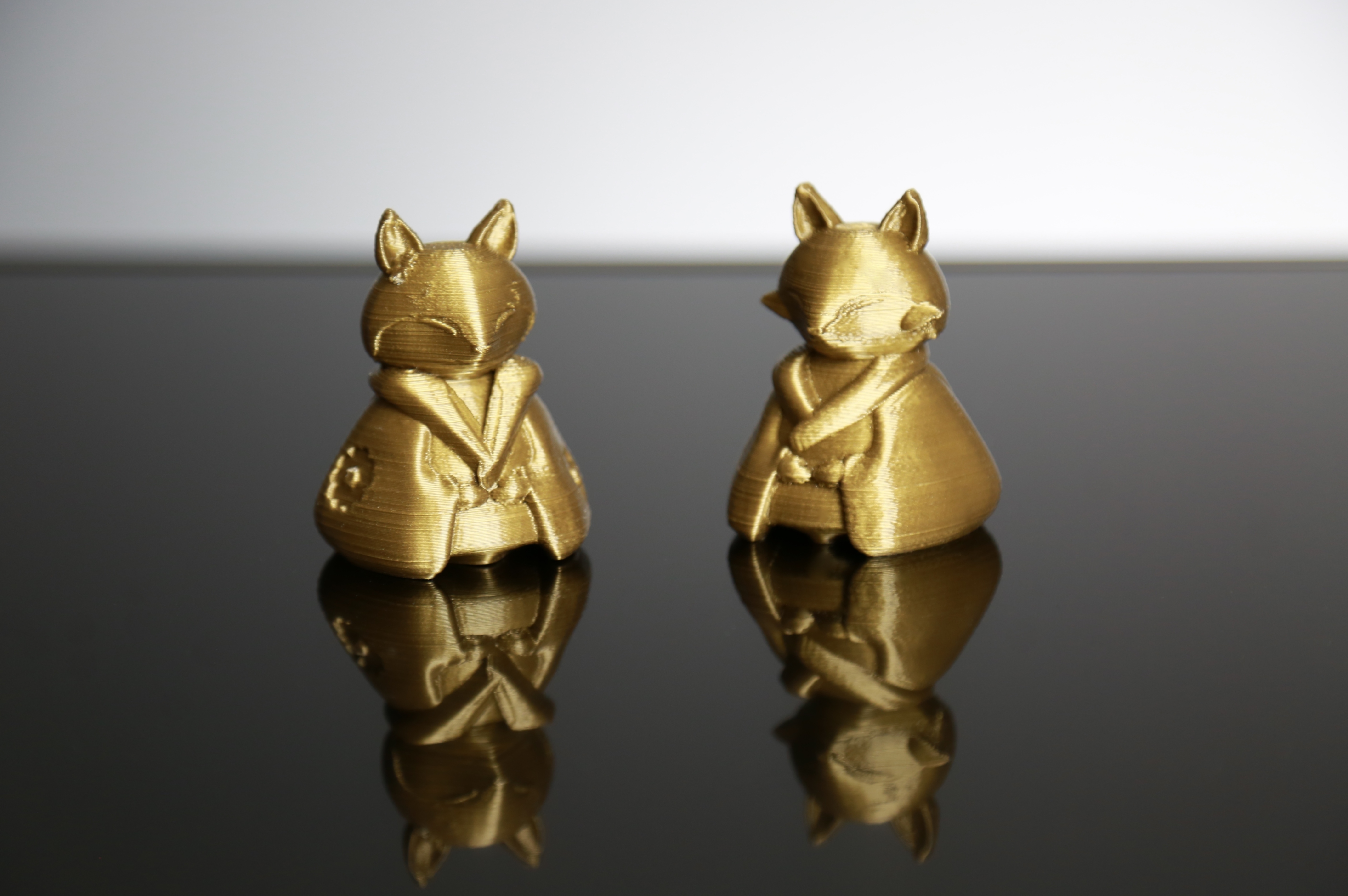 Ohina Fox Couple