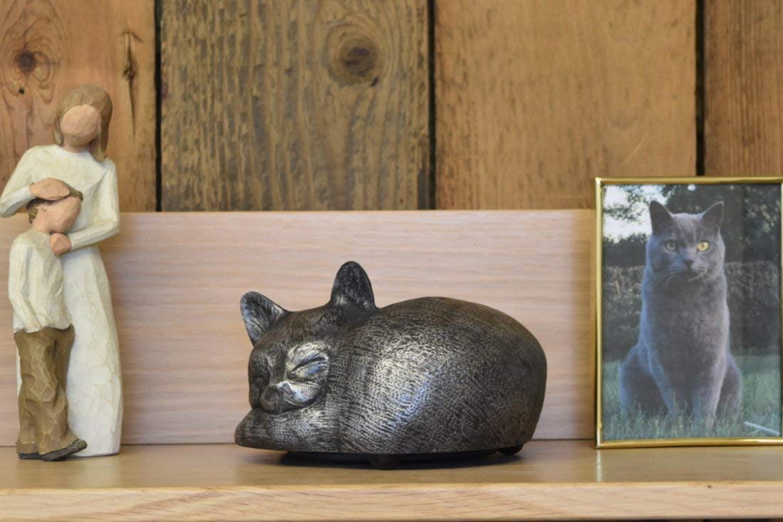 Rainbow Bridge Cat Urn Container