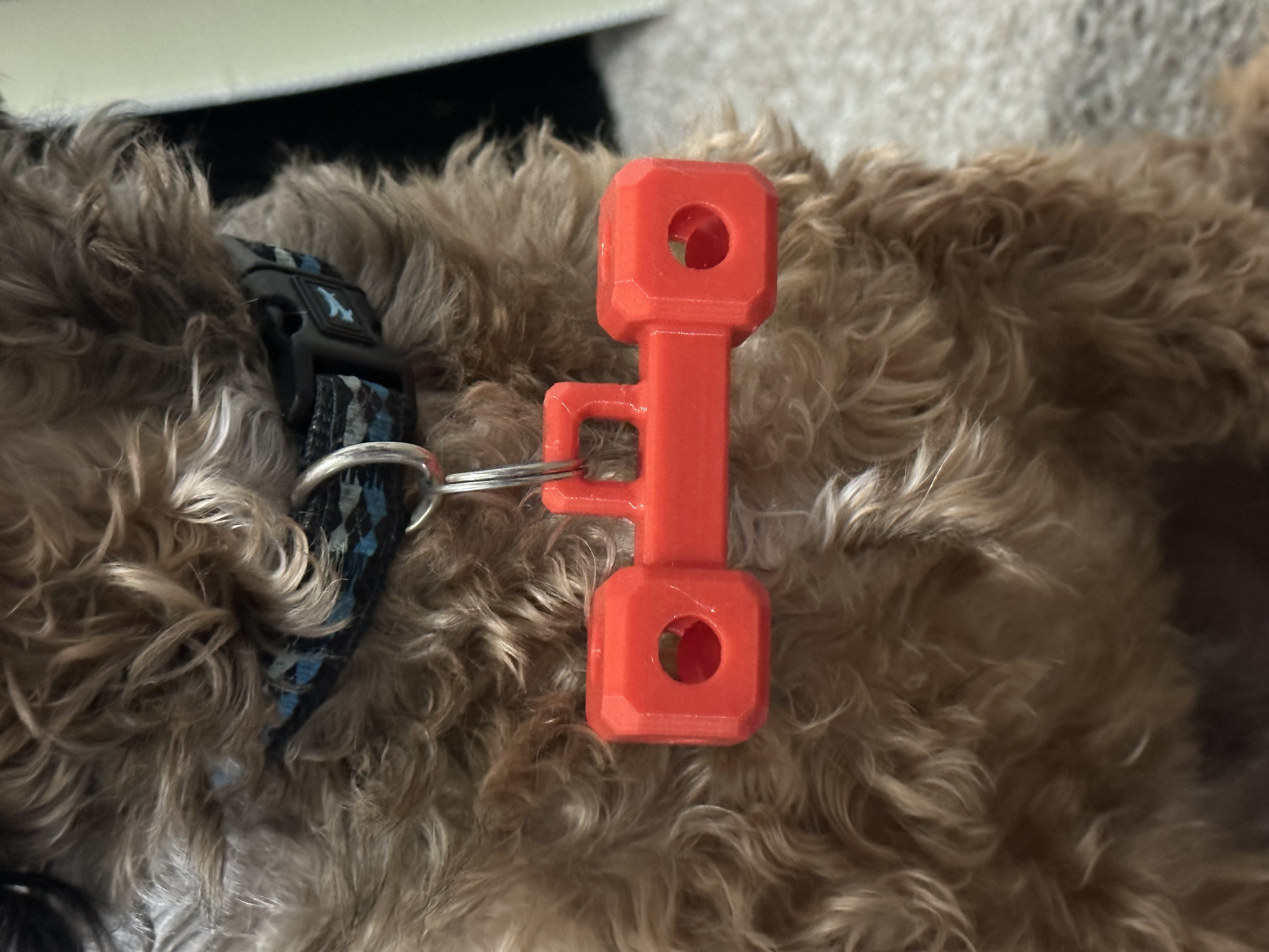 Dog ID Tag - With Rattles on sides - Customizable Fusion 360