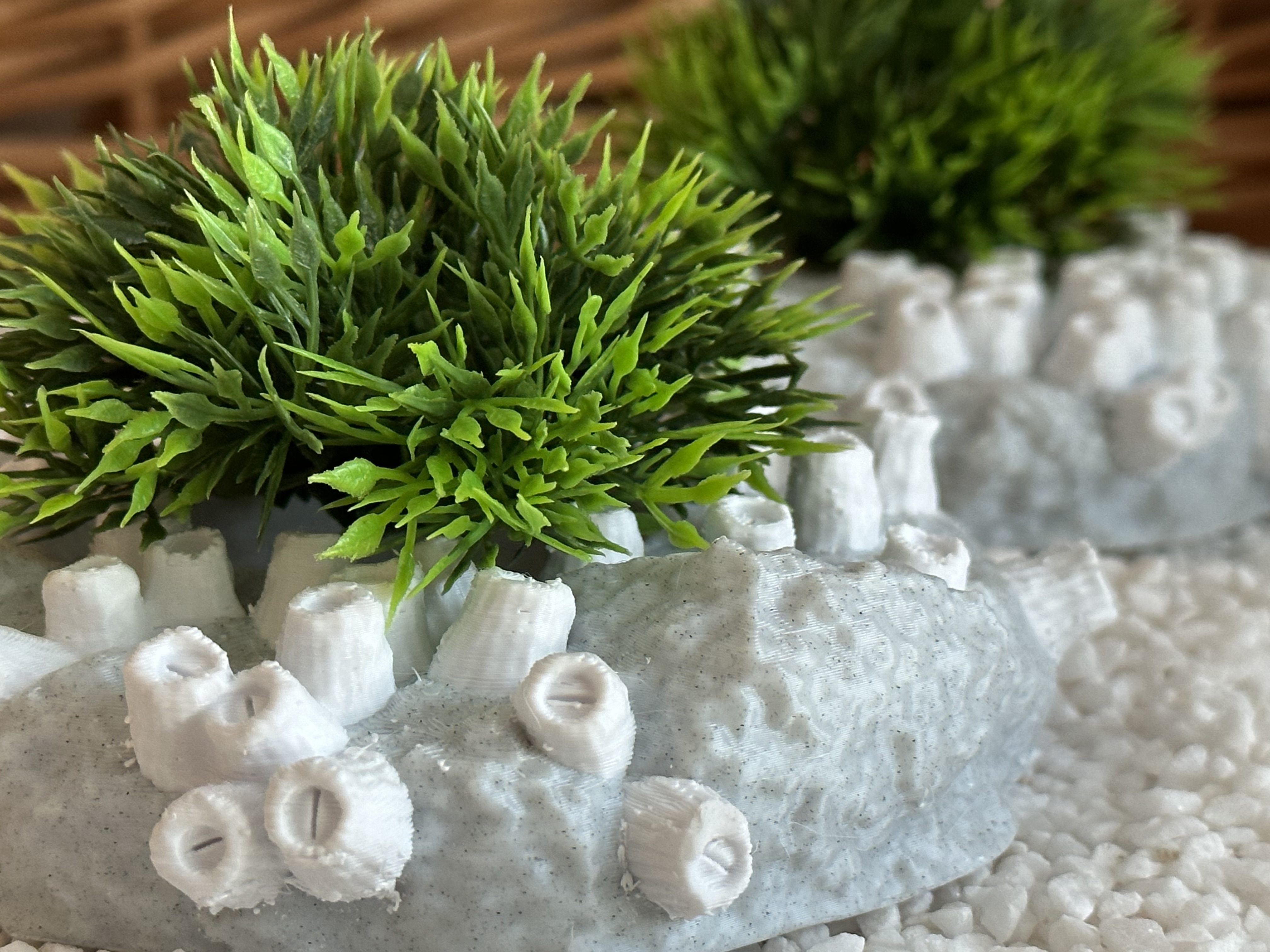 Mini Barnacle Bowl