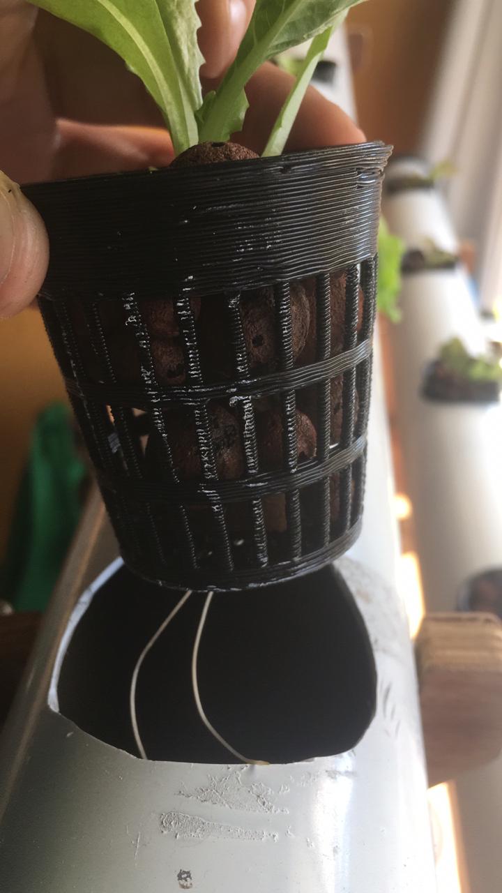 Macetero Hidroponia