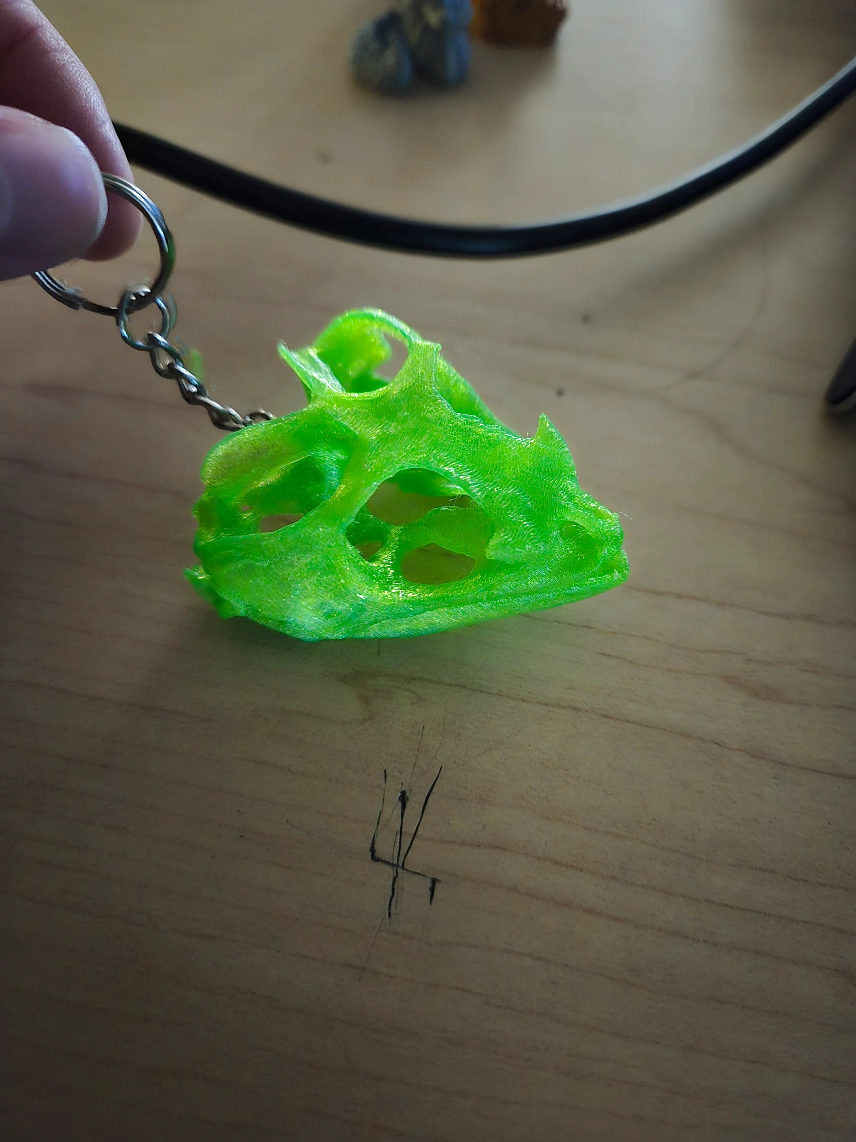 Bearded Dragon Skull (1 piece)