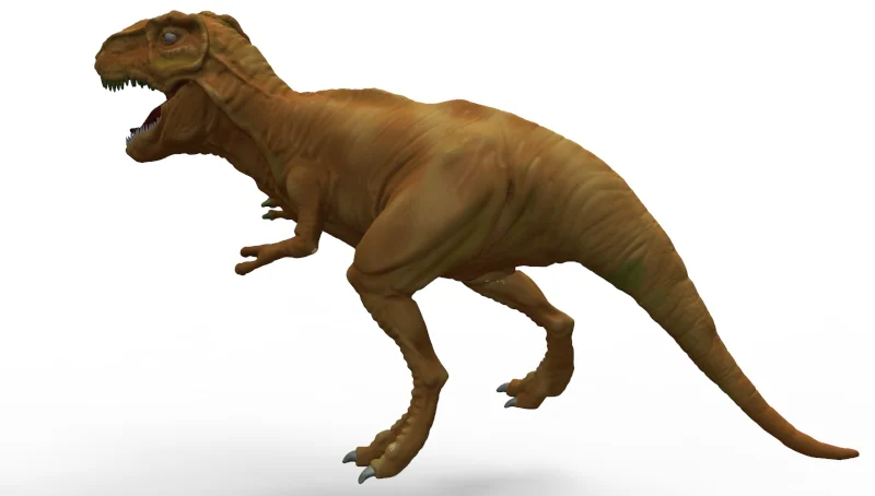 Trex dinosaur