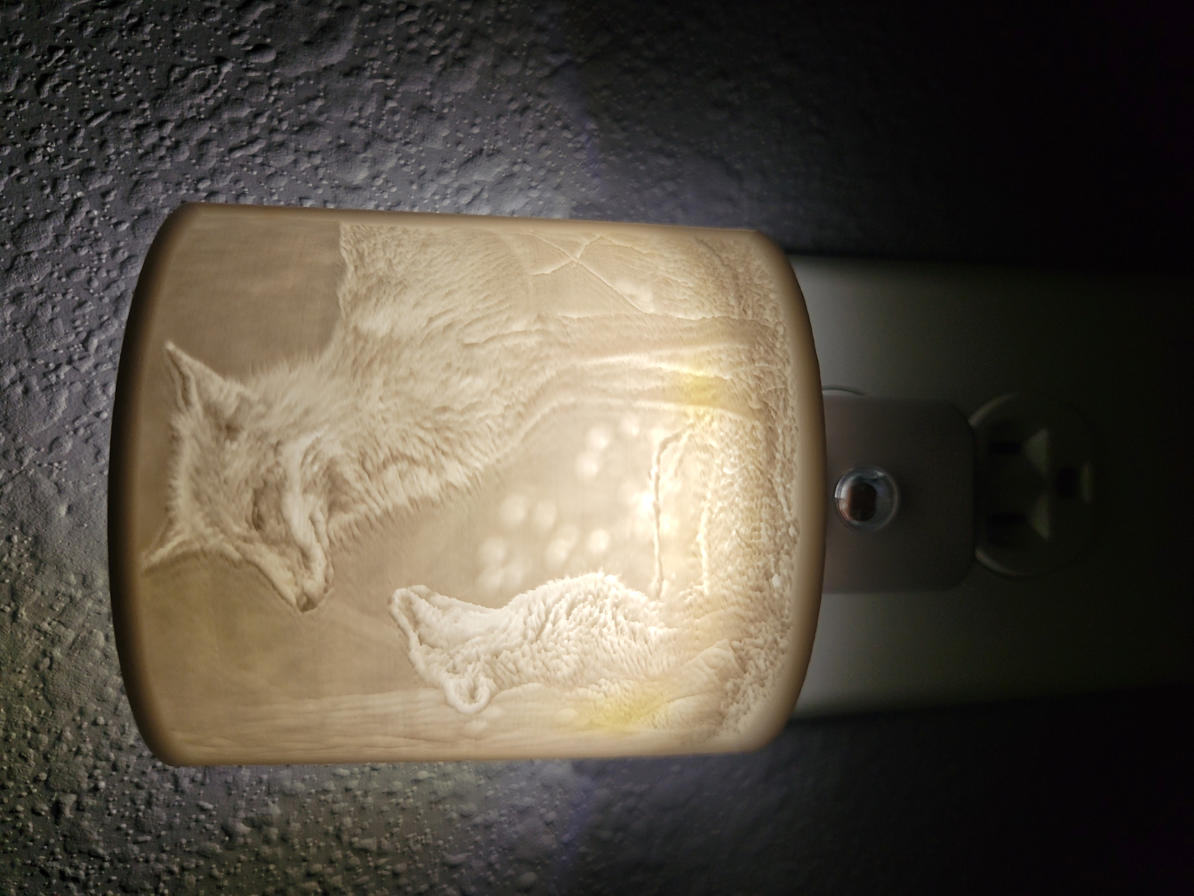 Fox Night Light Lithophanes