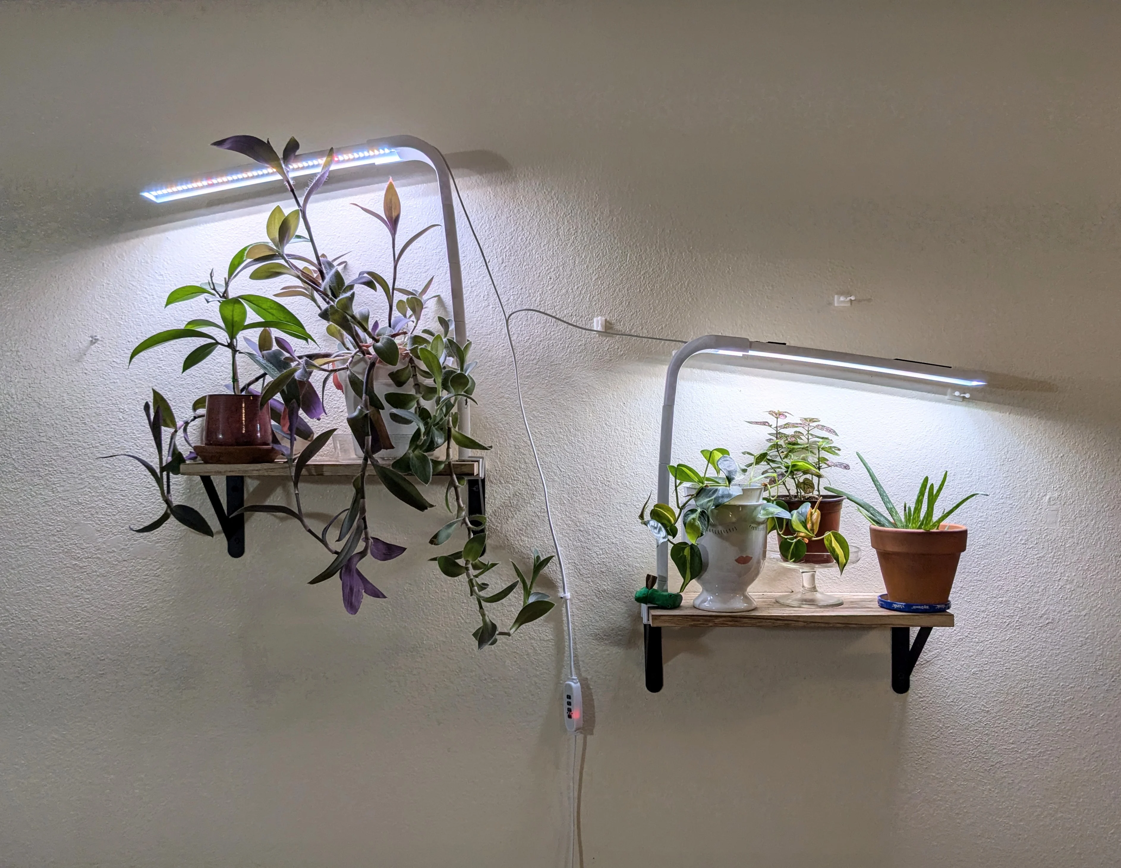 Modular Plant Light