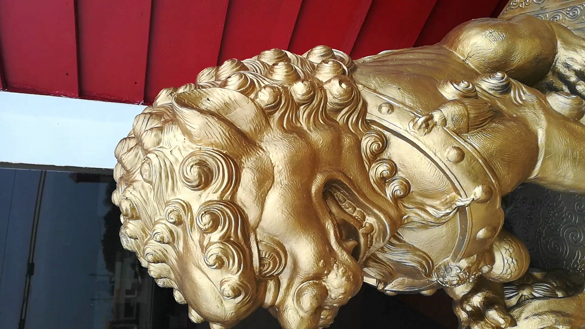 Asian lion