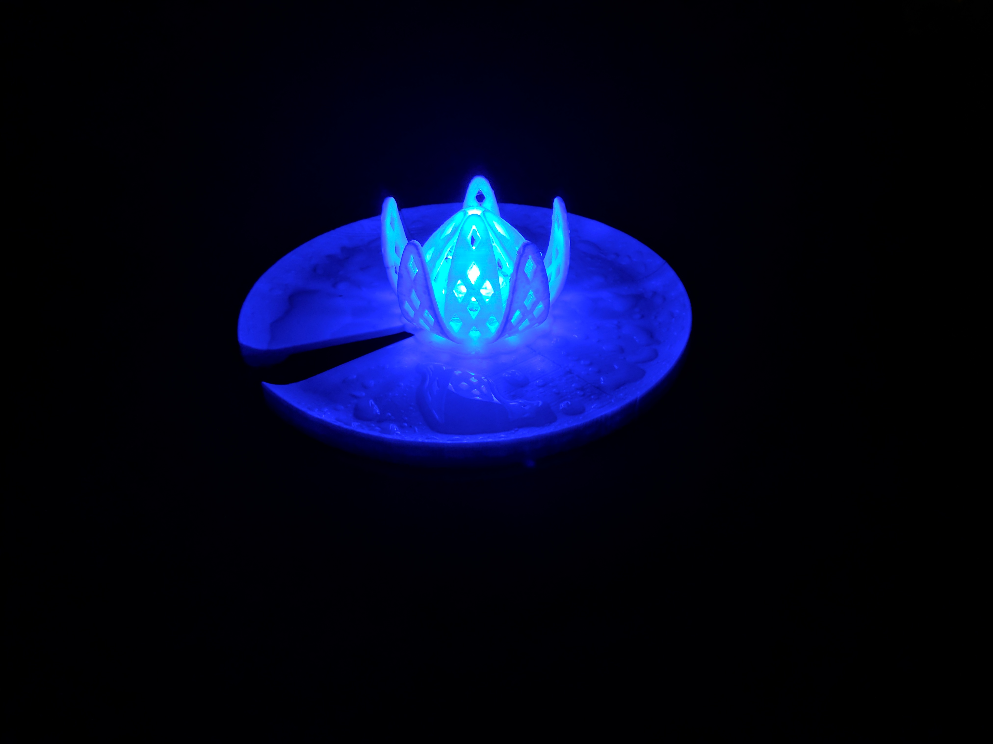 Floating Lilypad with flowers