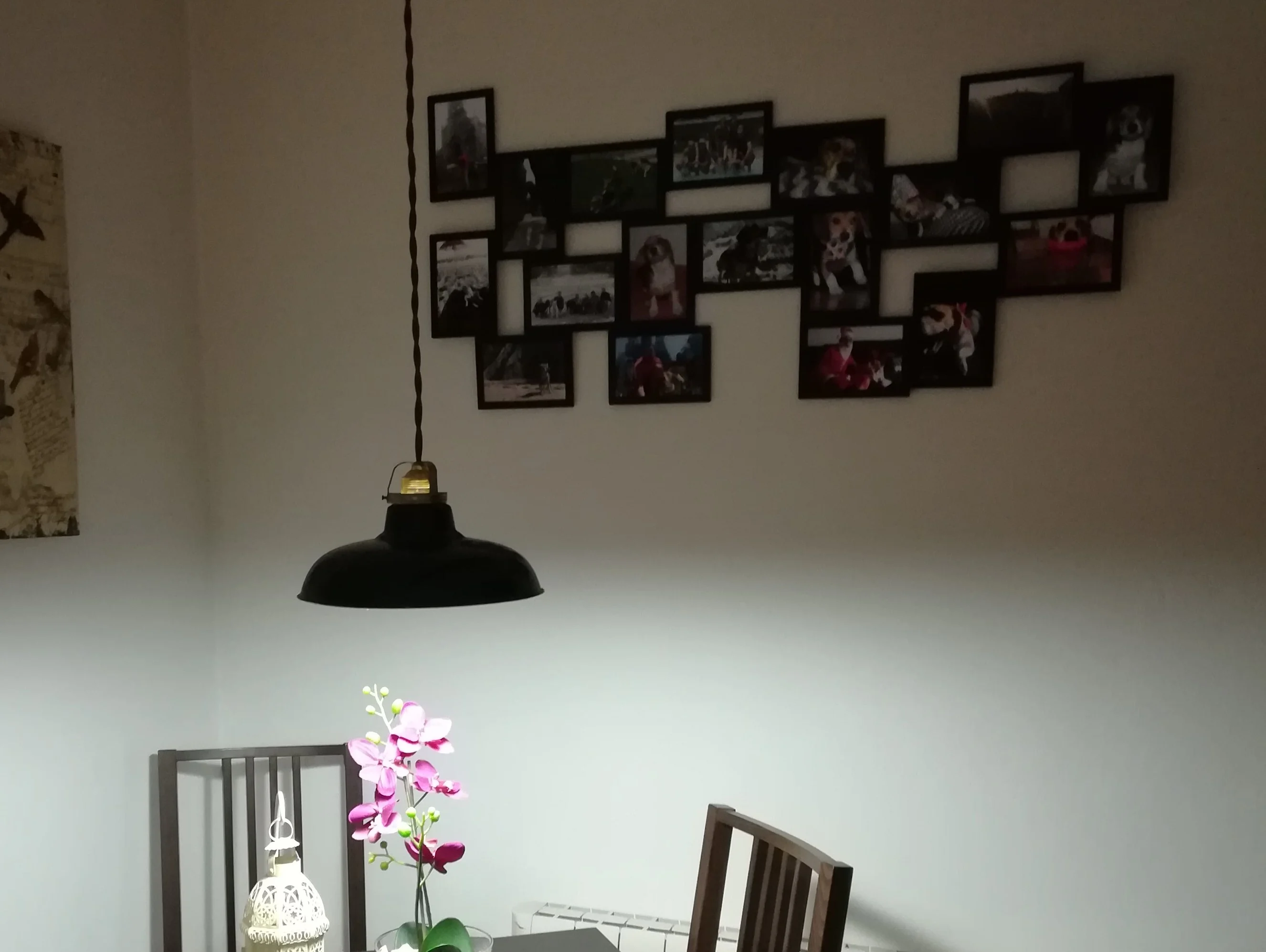 Modular photo frame