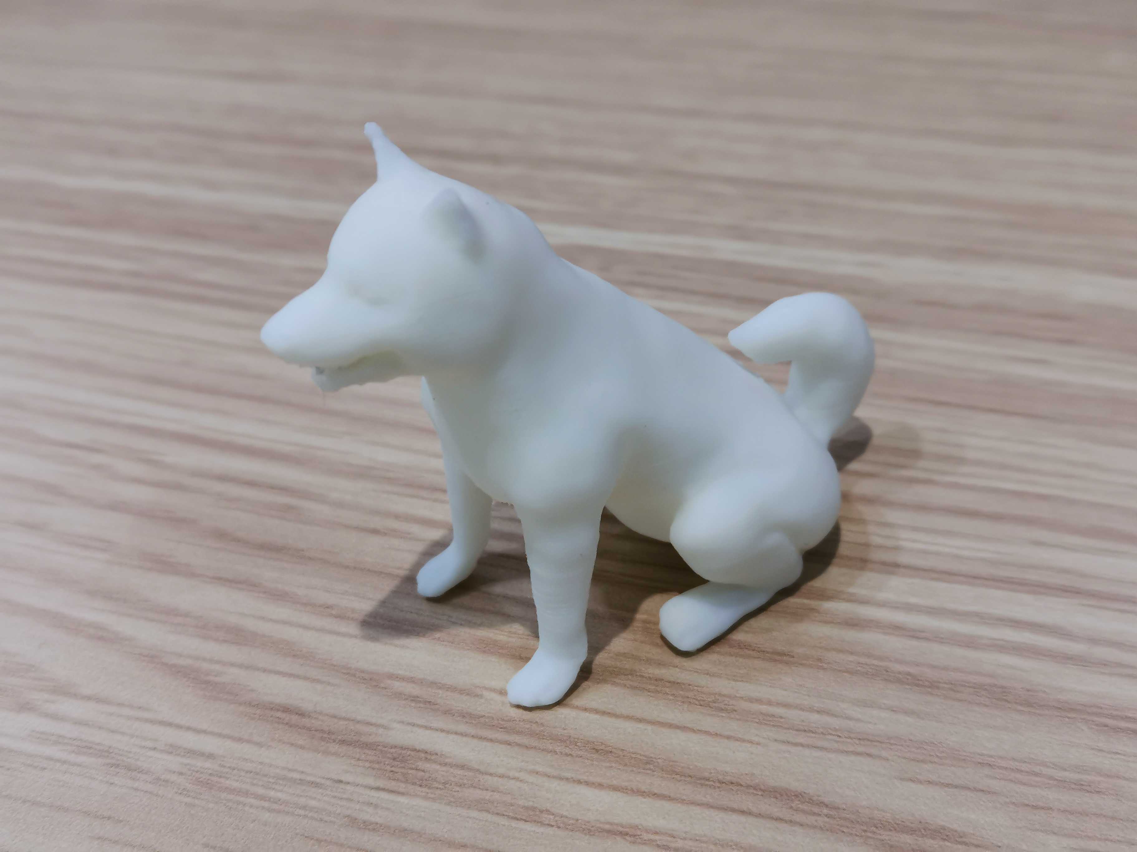 Shiba inu