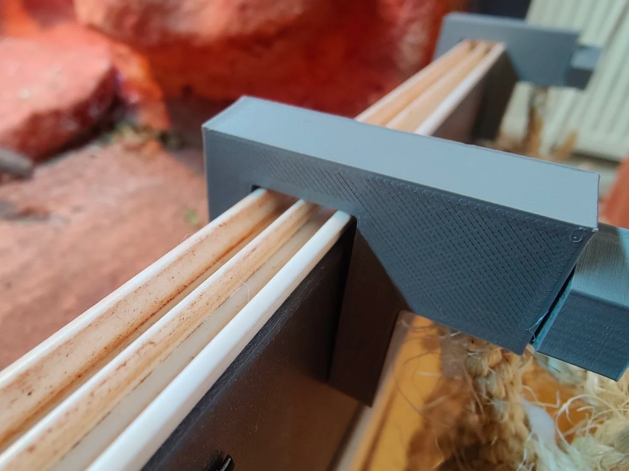 Enclosure ladder for bearded dragon