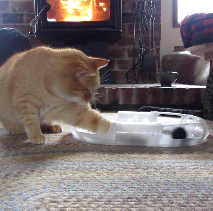 Cat Toy Race Track