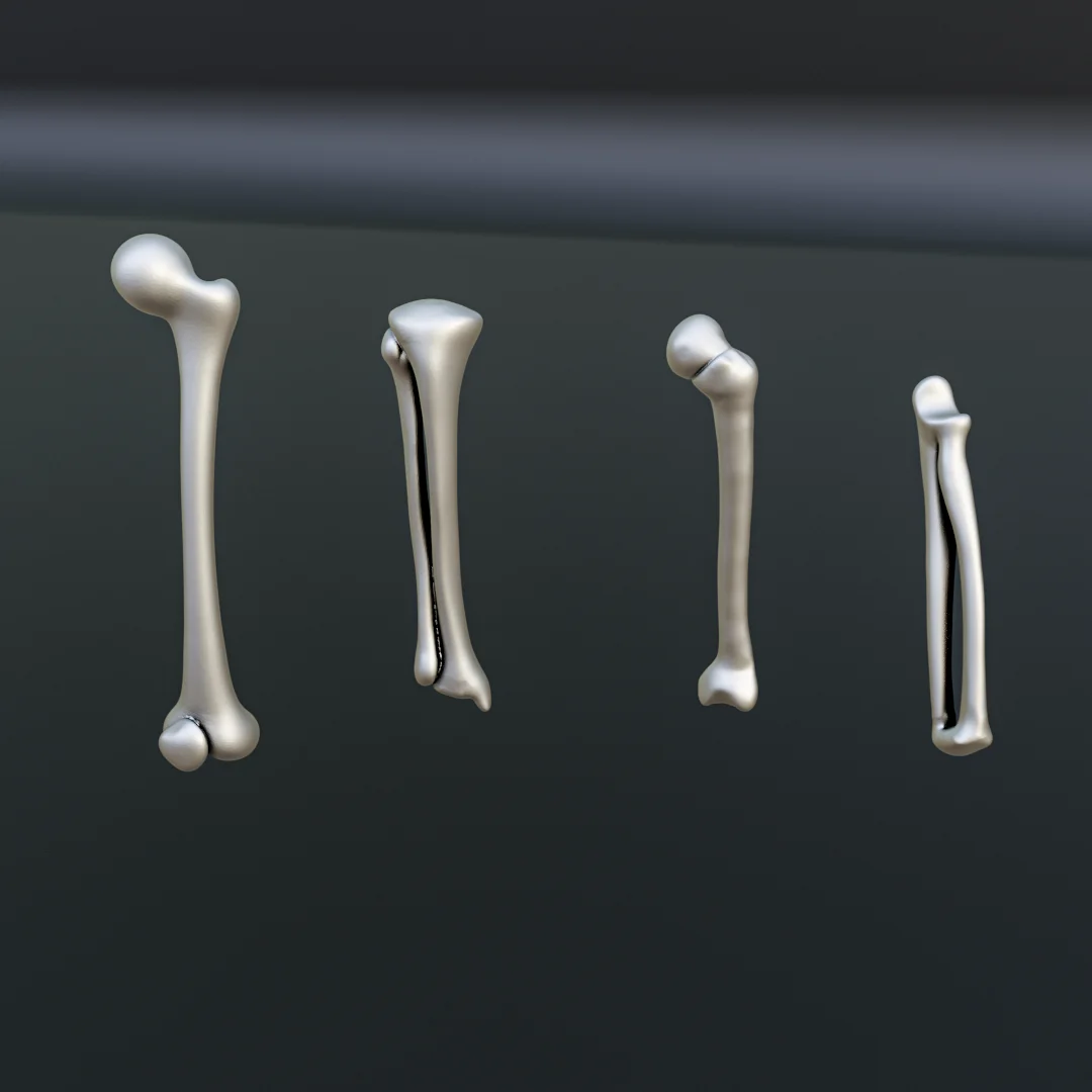 Crime Scene Diorama Pack