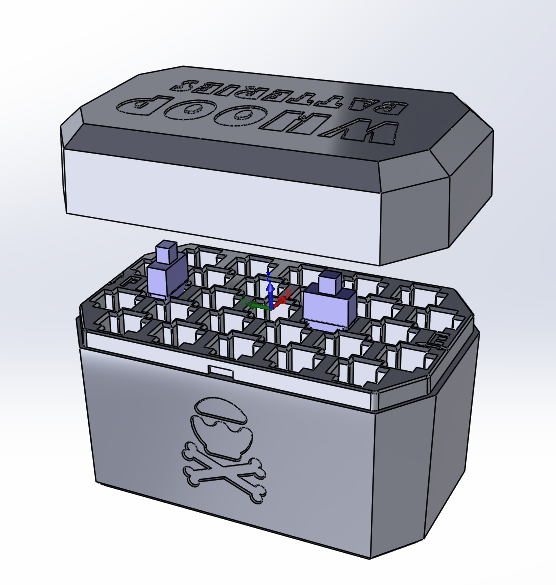 Tiny Whoop / 65X 300mah Battery Box