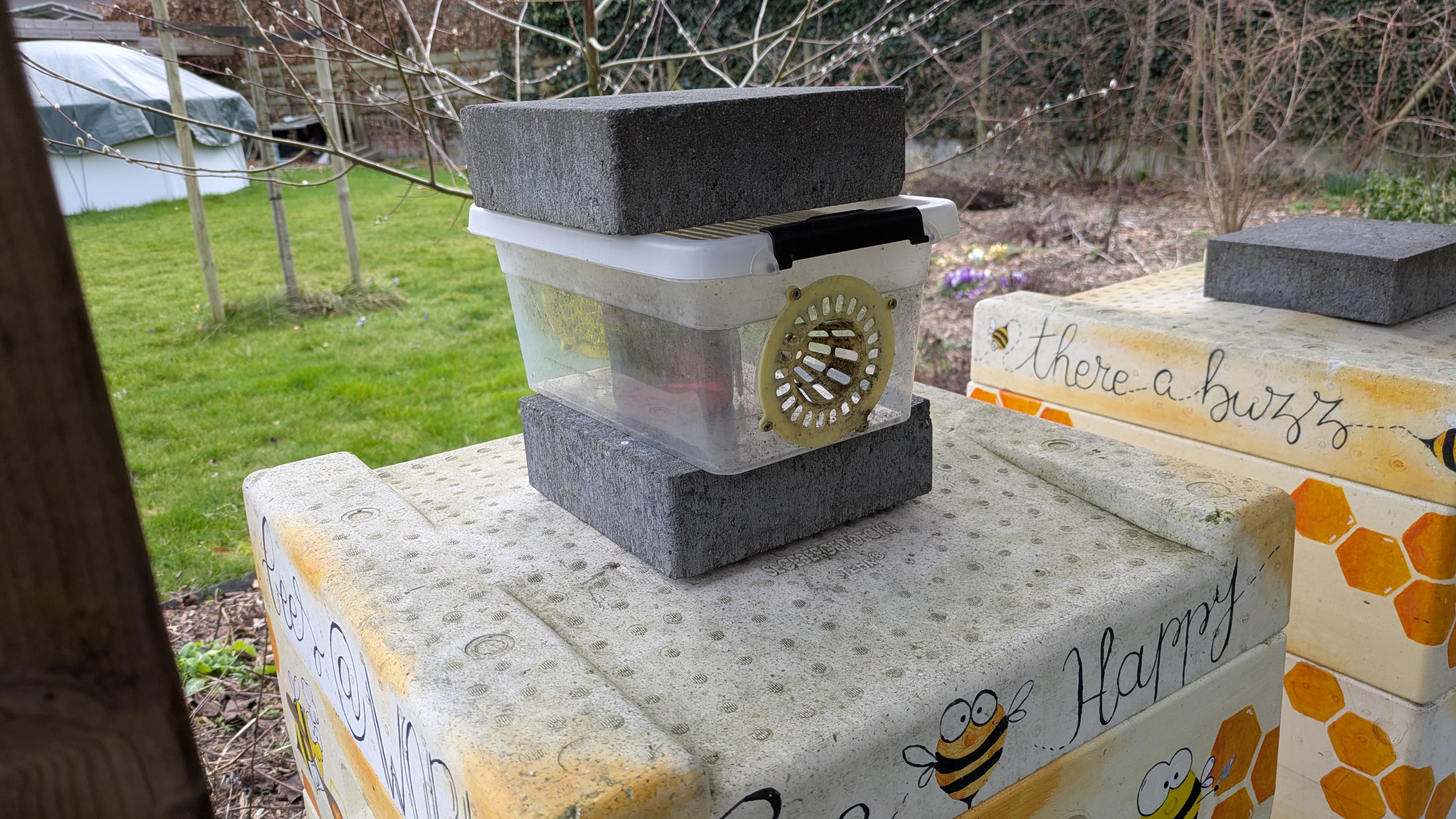 Update: Asian hornet trap with legs for honey jar and raincap; Glue/screw Hornet traps to mount in box