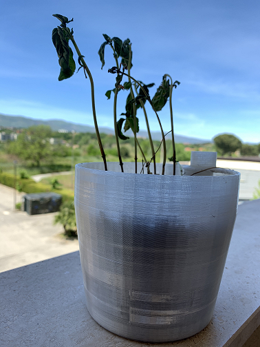vase flower
