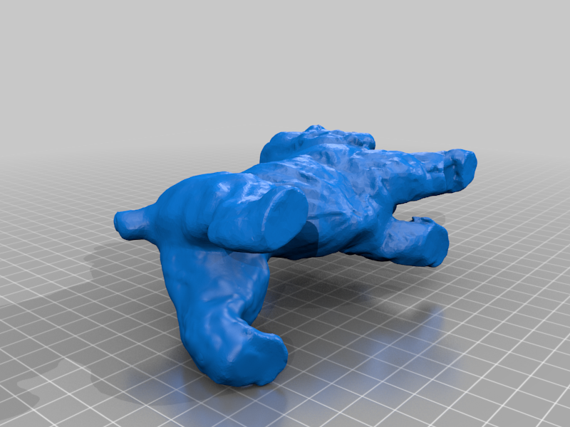 Springer spaniel Ceramic scan