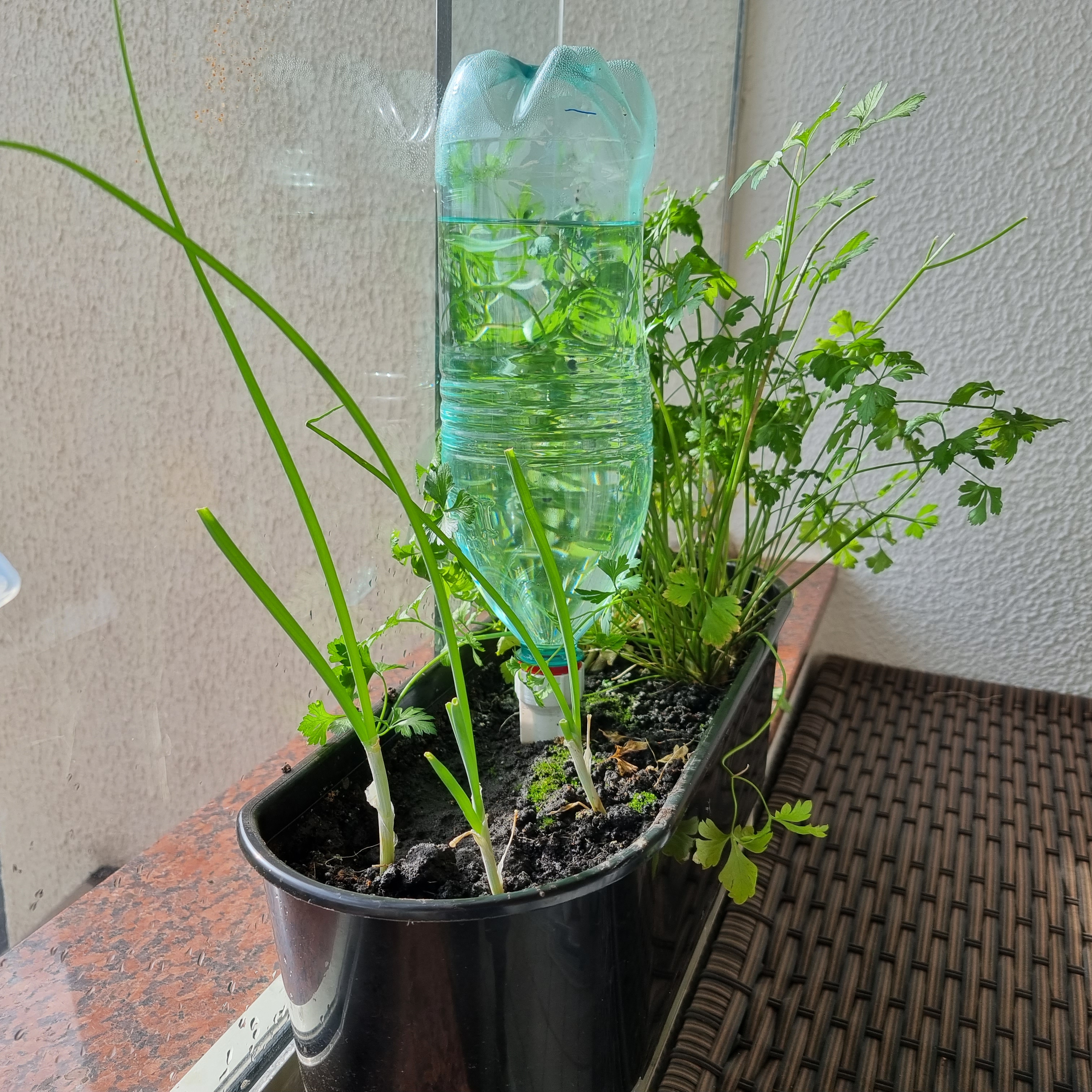 PET Bottle Watering Nozzle (Parametric - Fusion 360)