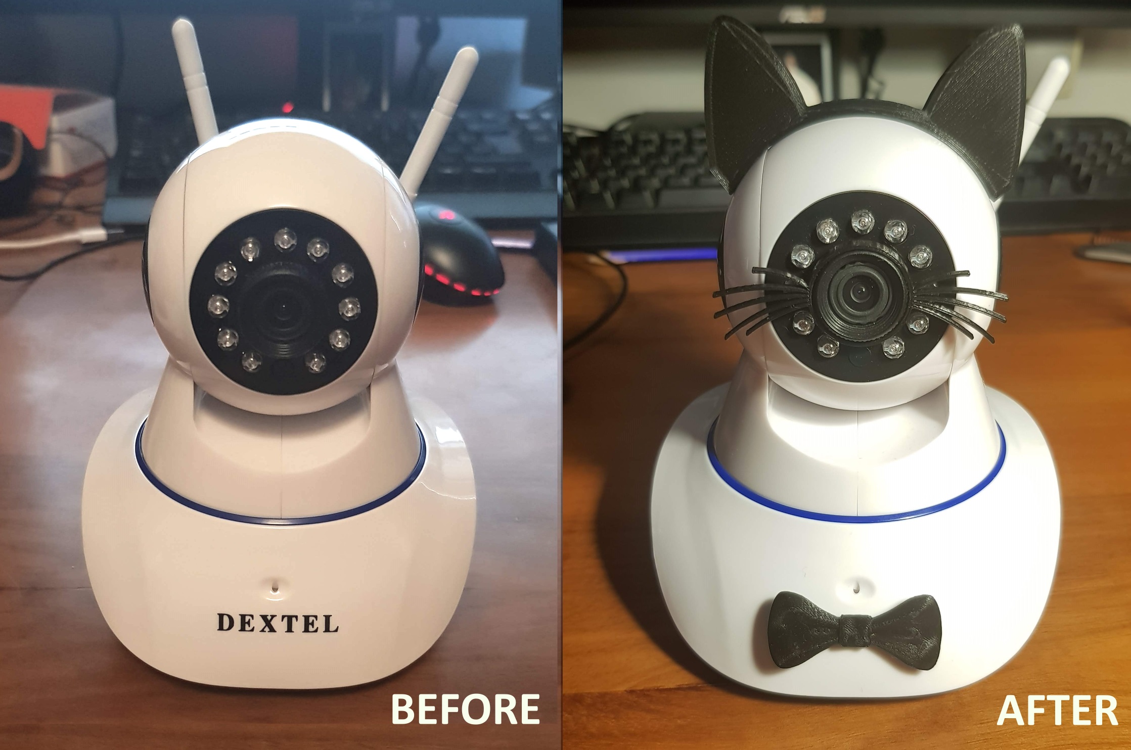 Cat or Baby Cam Modification