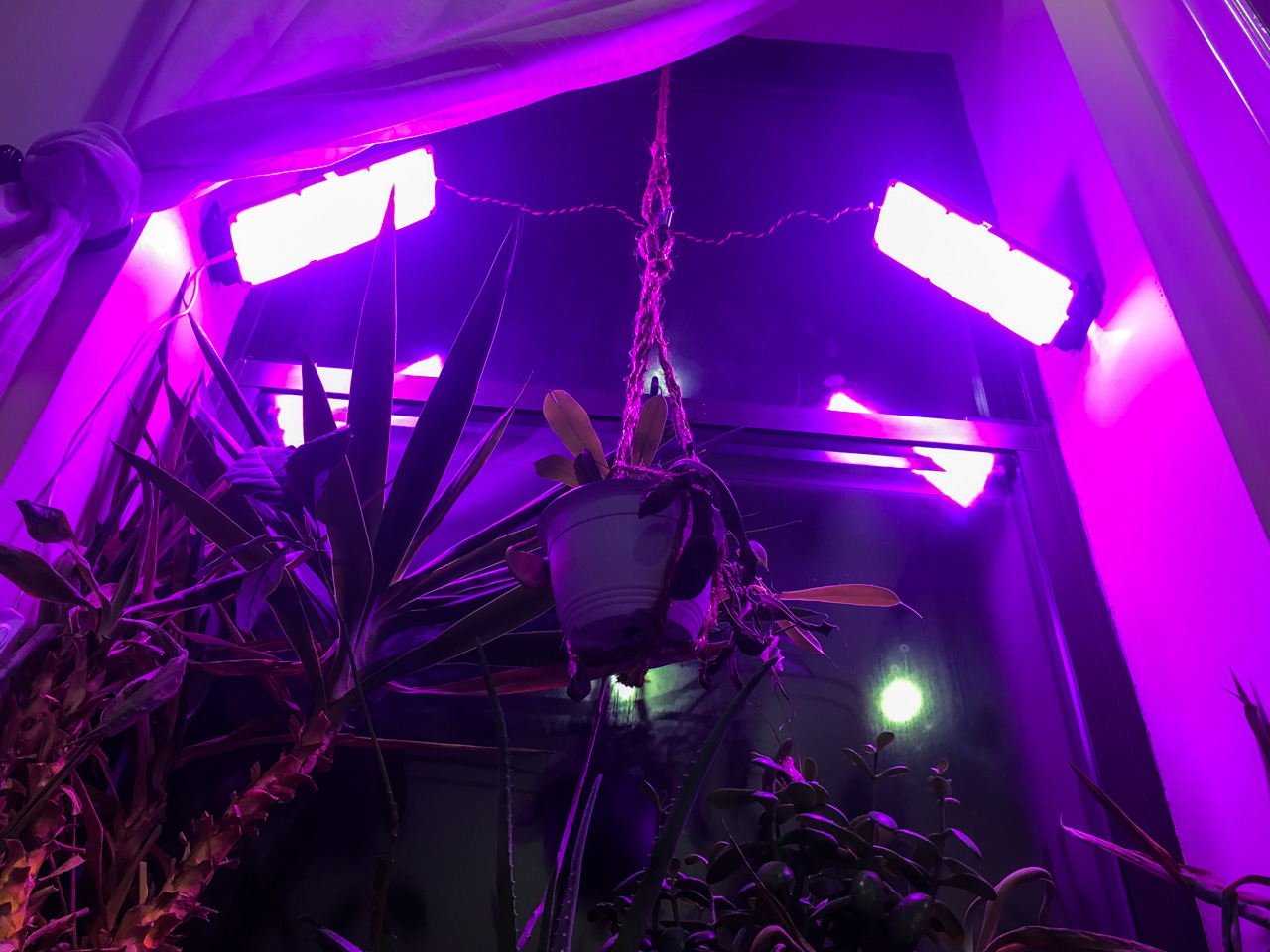 Grow Light Diffuser