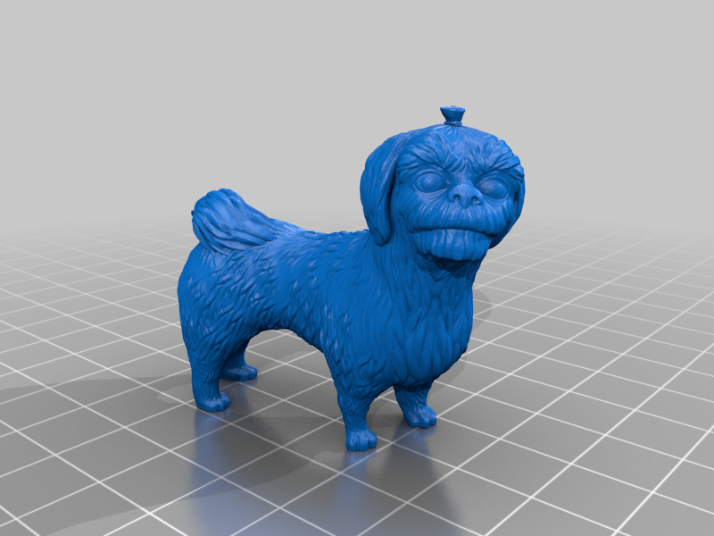 Shih Tzu