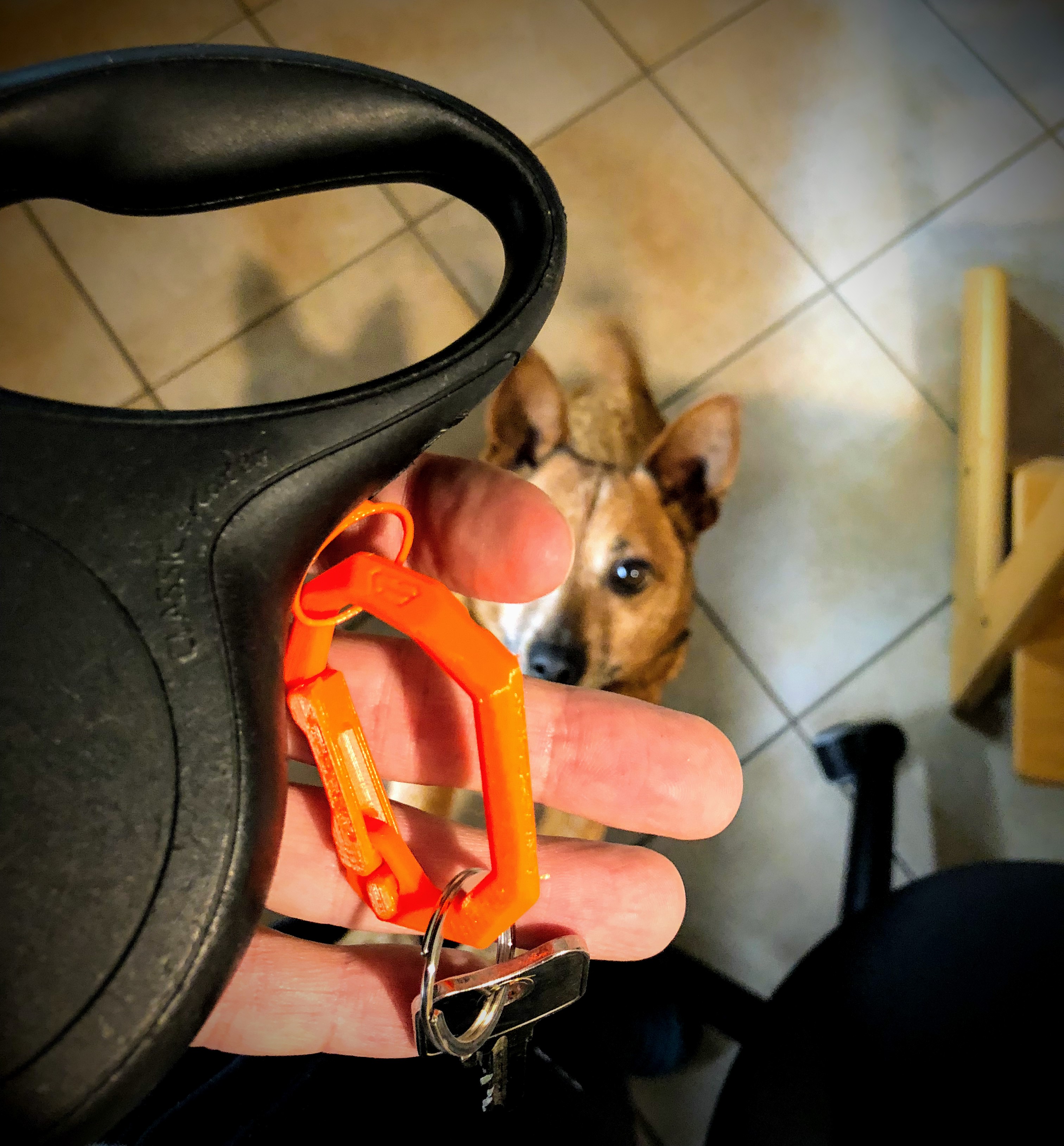 Flexi Dog Leash Keyring