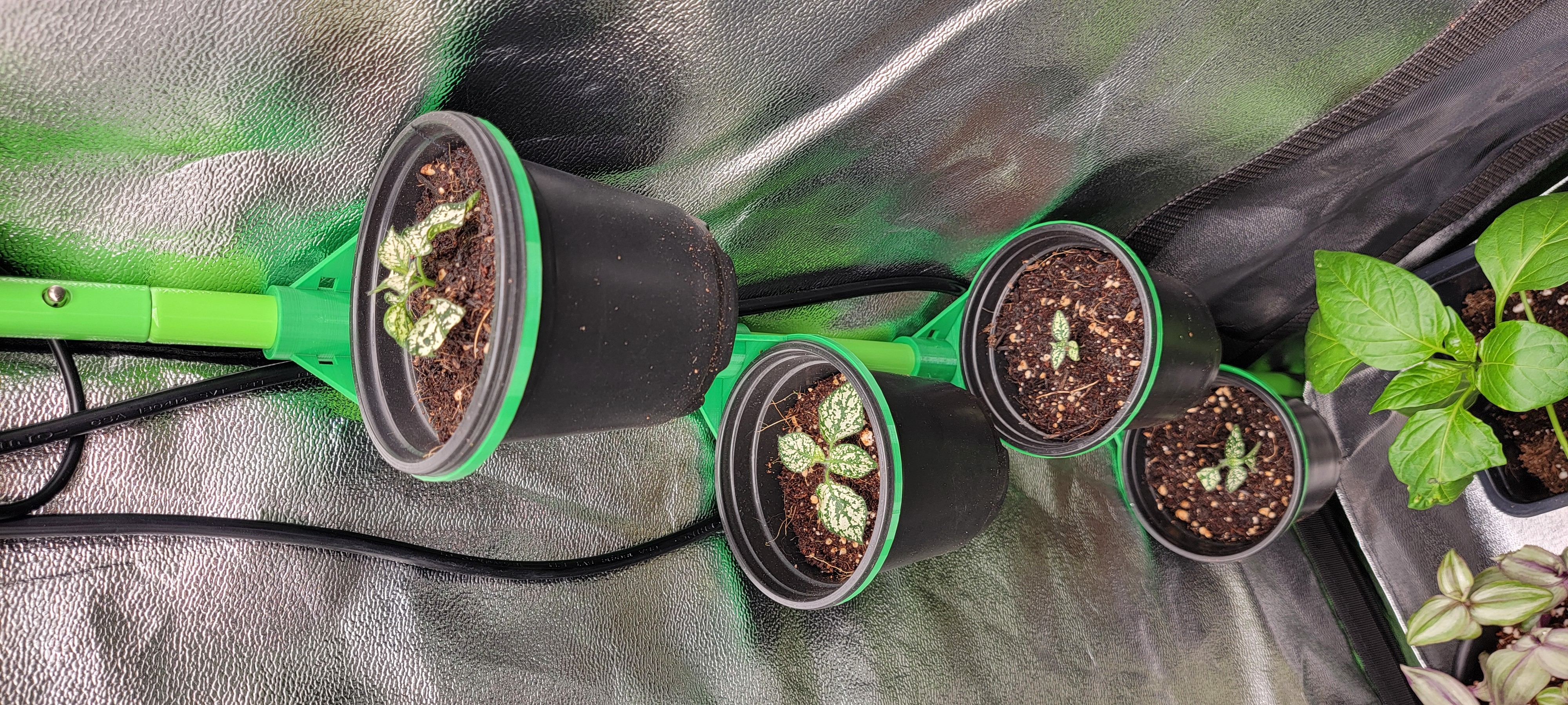4" Pot Corner Shelf Clip for Grow Tents (16mm Pole Mount)