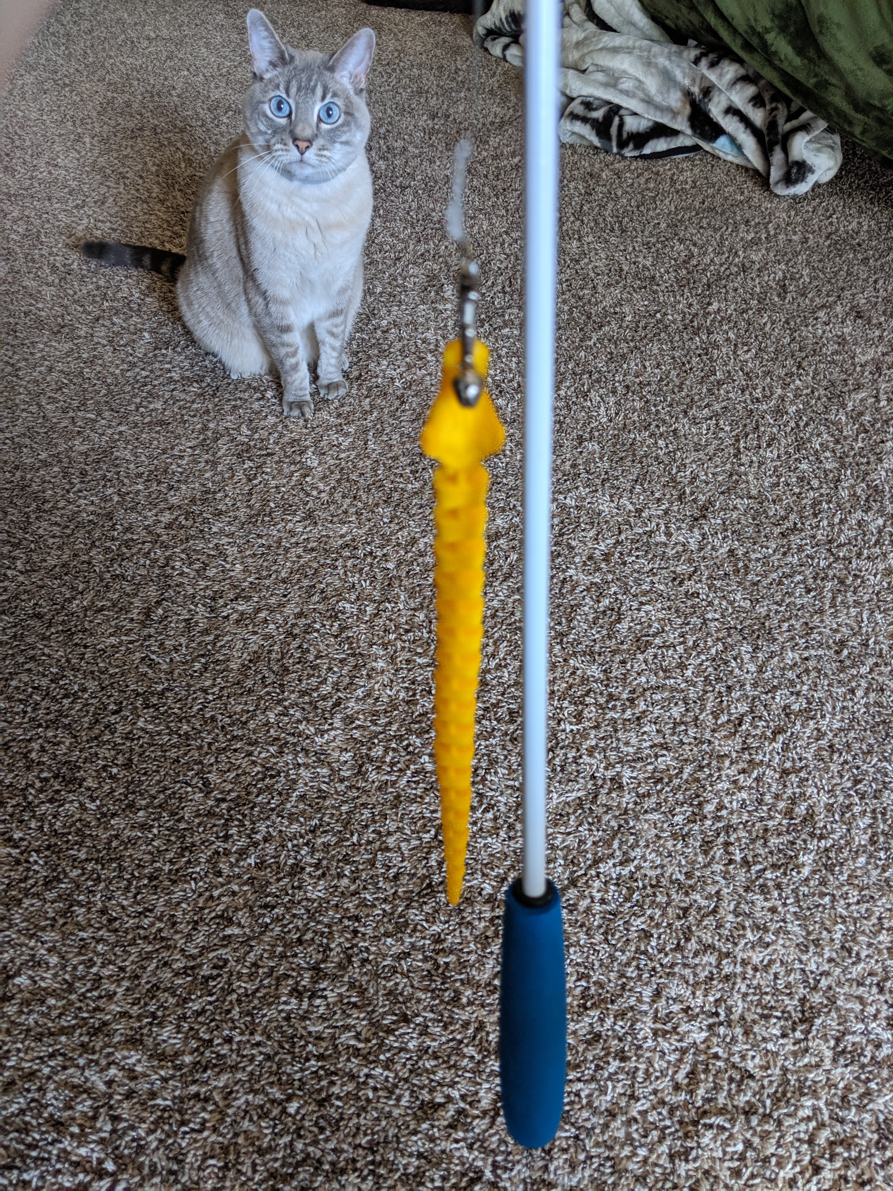 Articulated Cat Toys w/Ring
