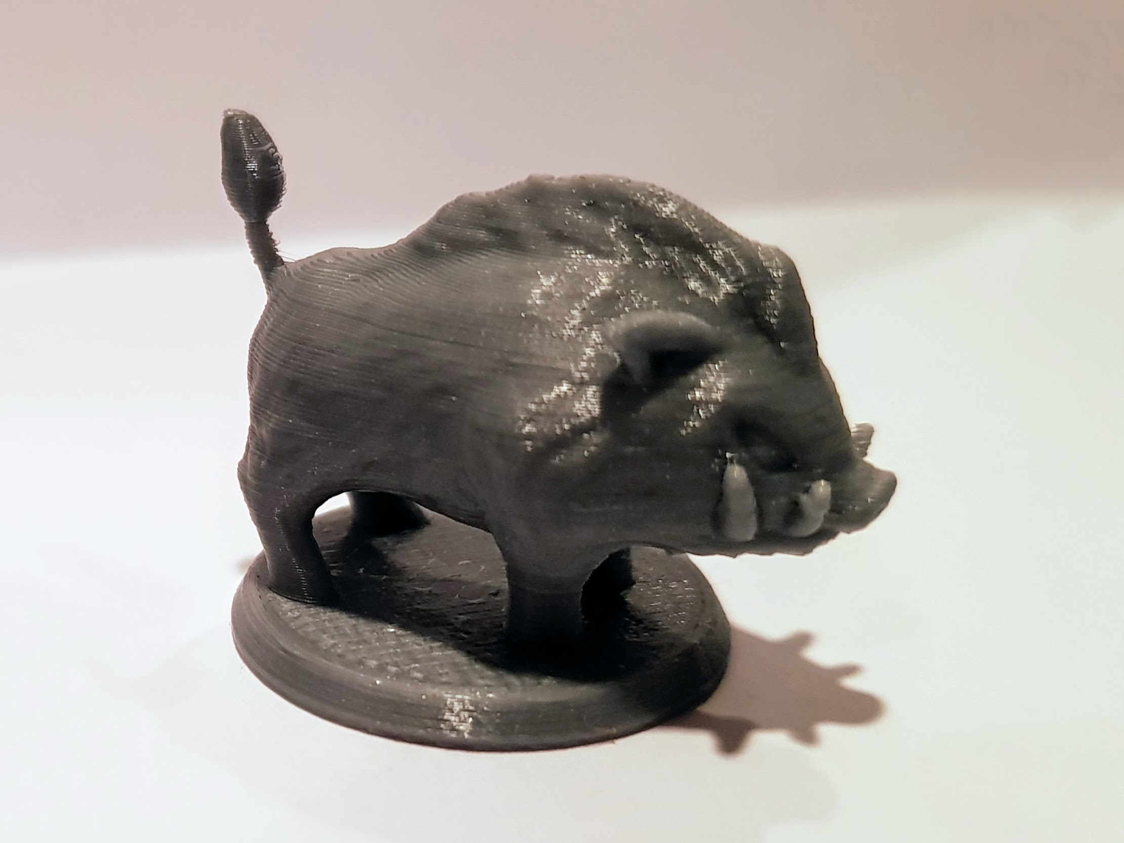 Boar