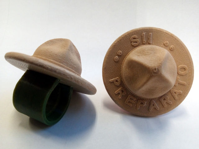Campaign Hat Woggle