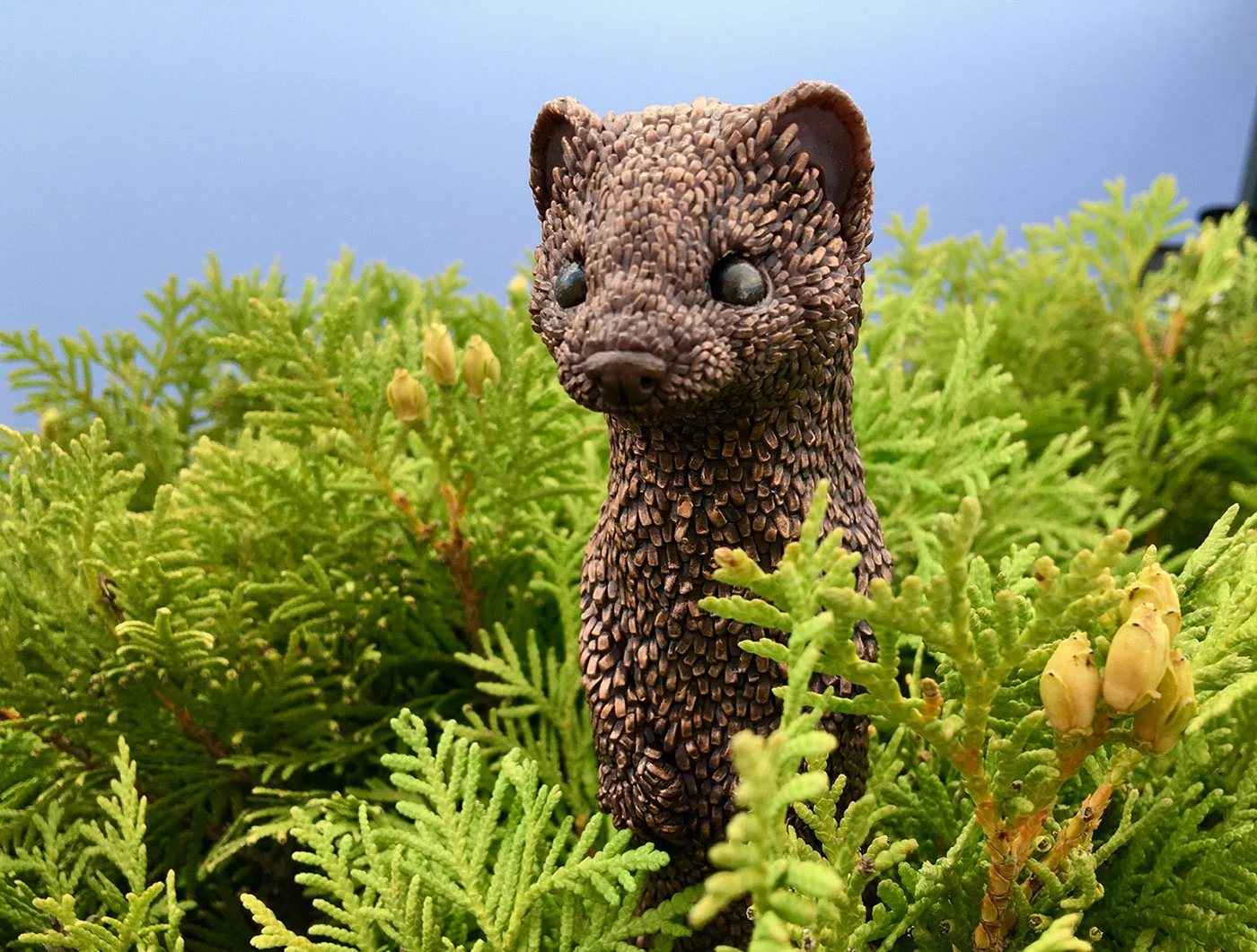 Stoat