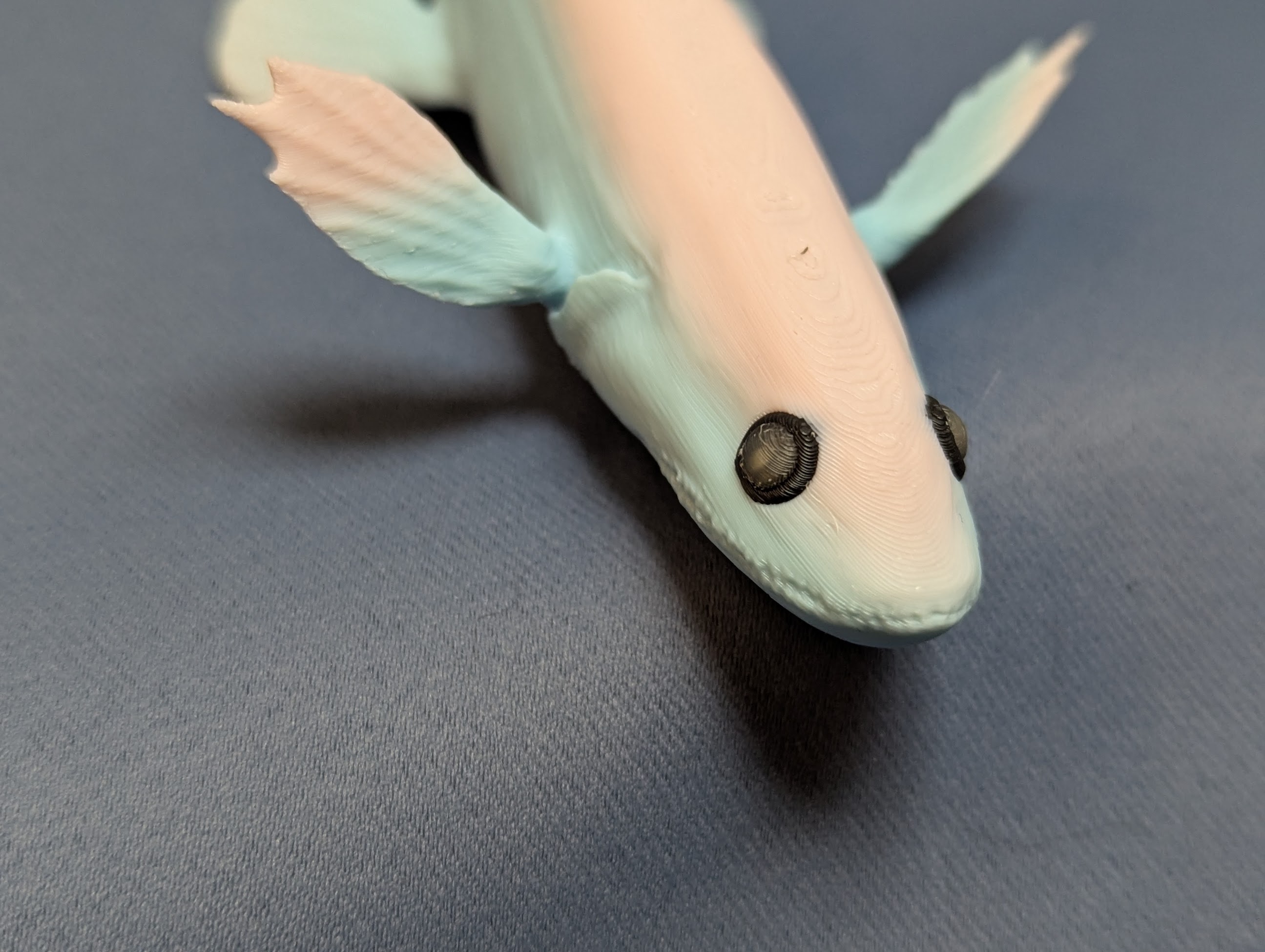 Deepsea Lizardfish (Bathysaurus ferox)