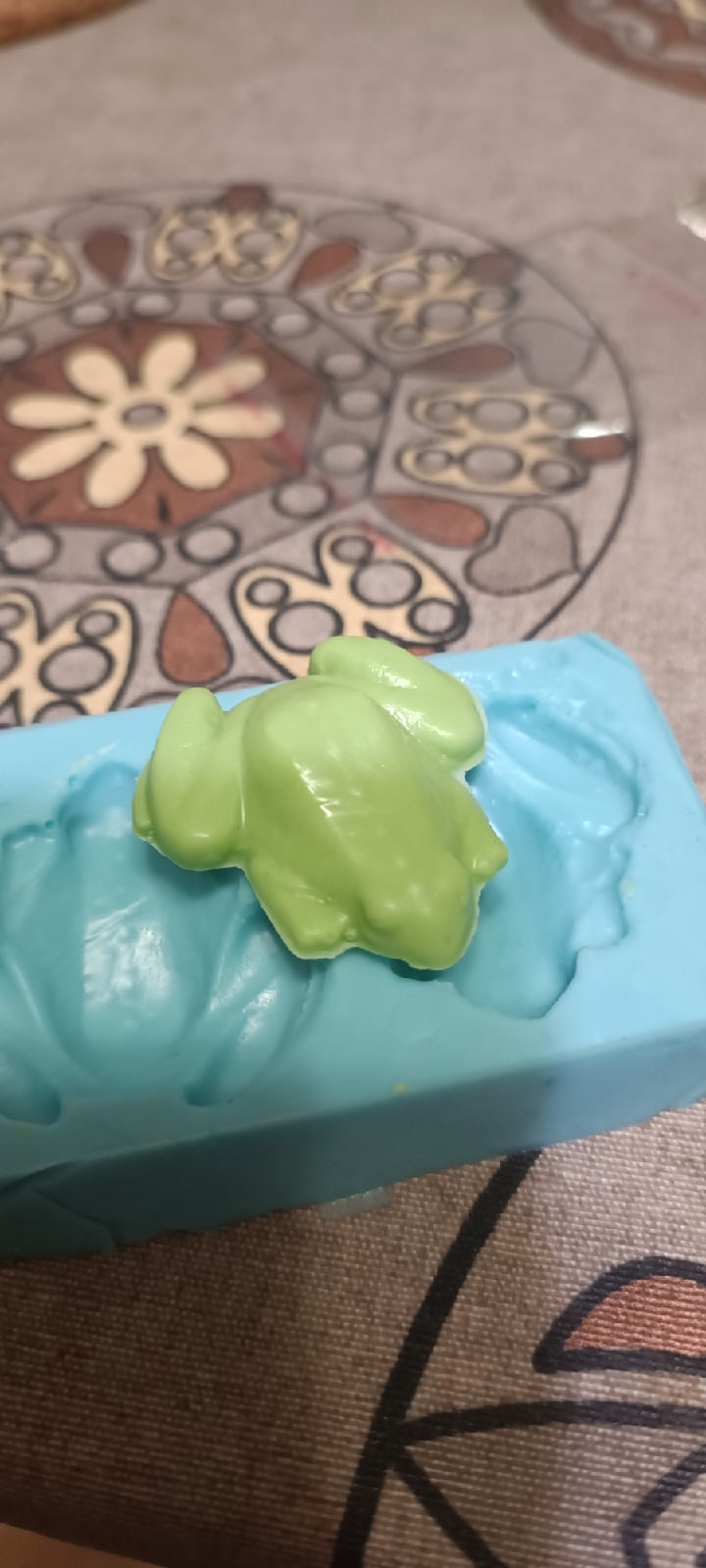 Frog master model