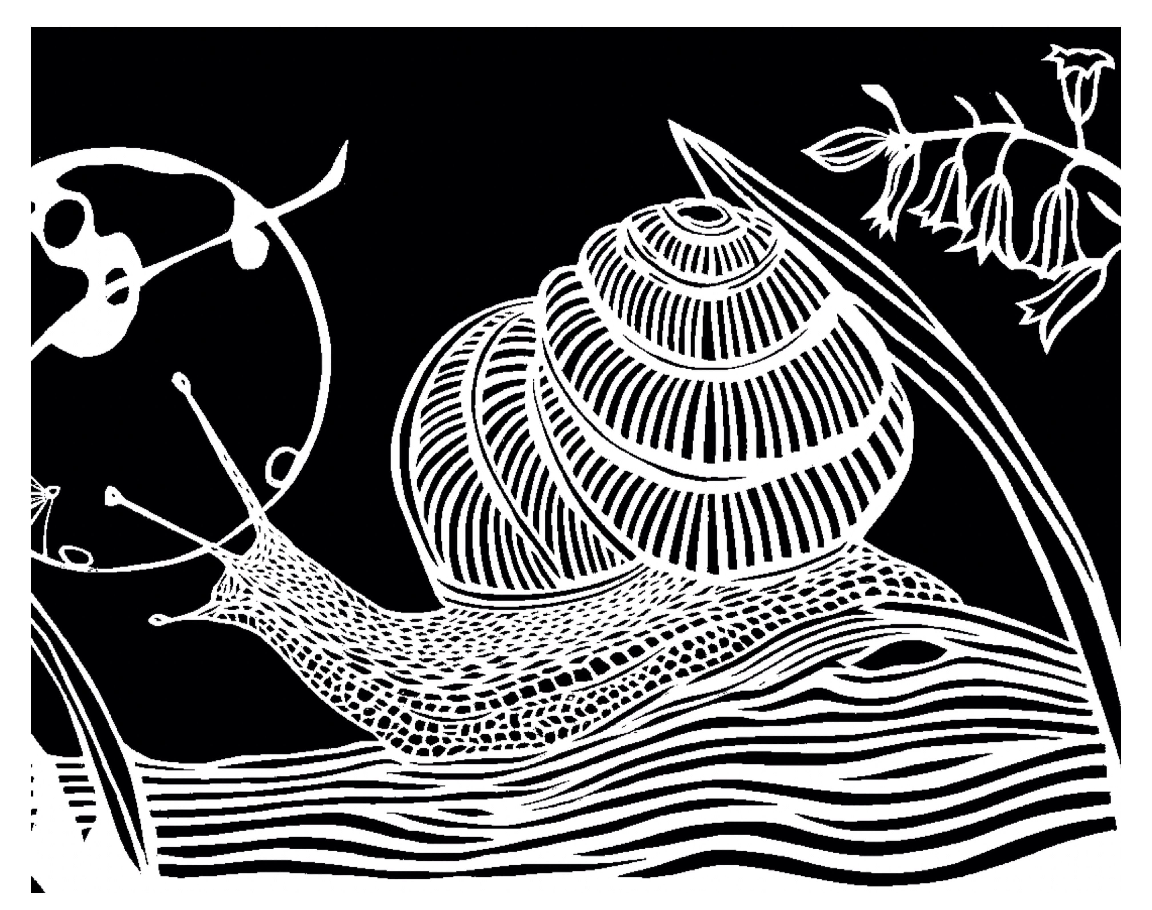 Snail stencil