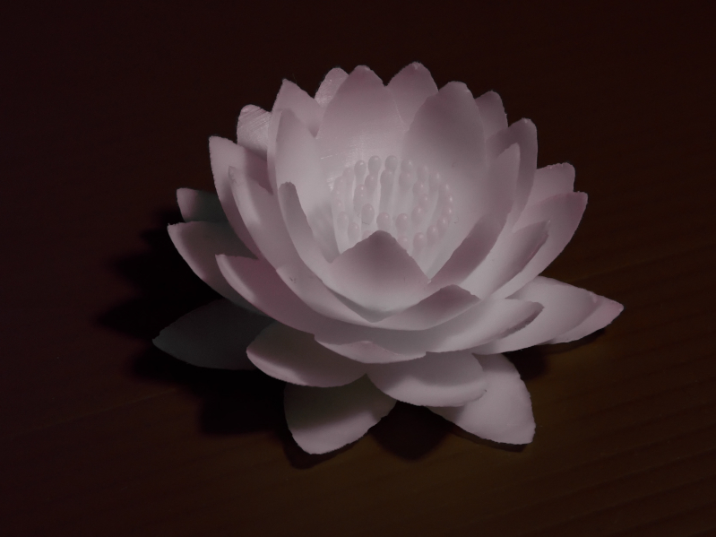 nenuphar_flower