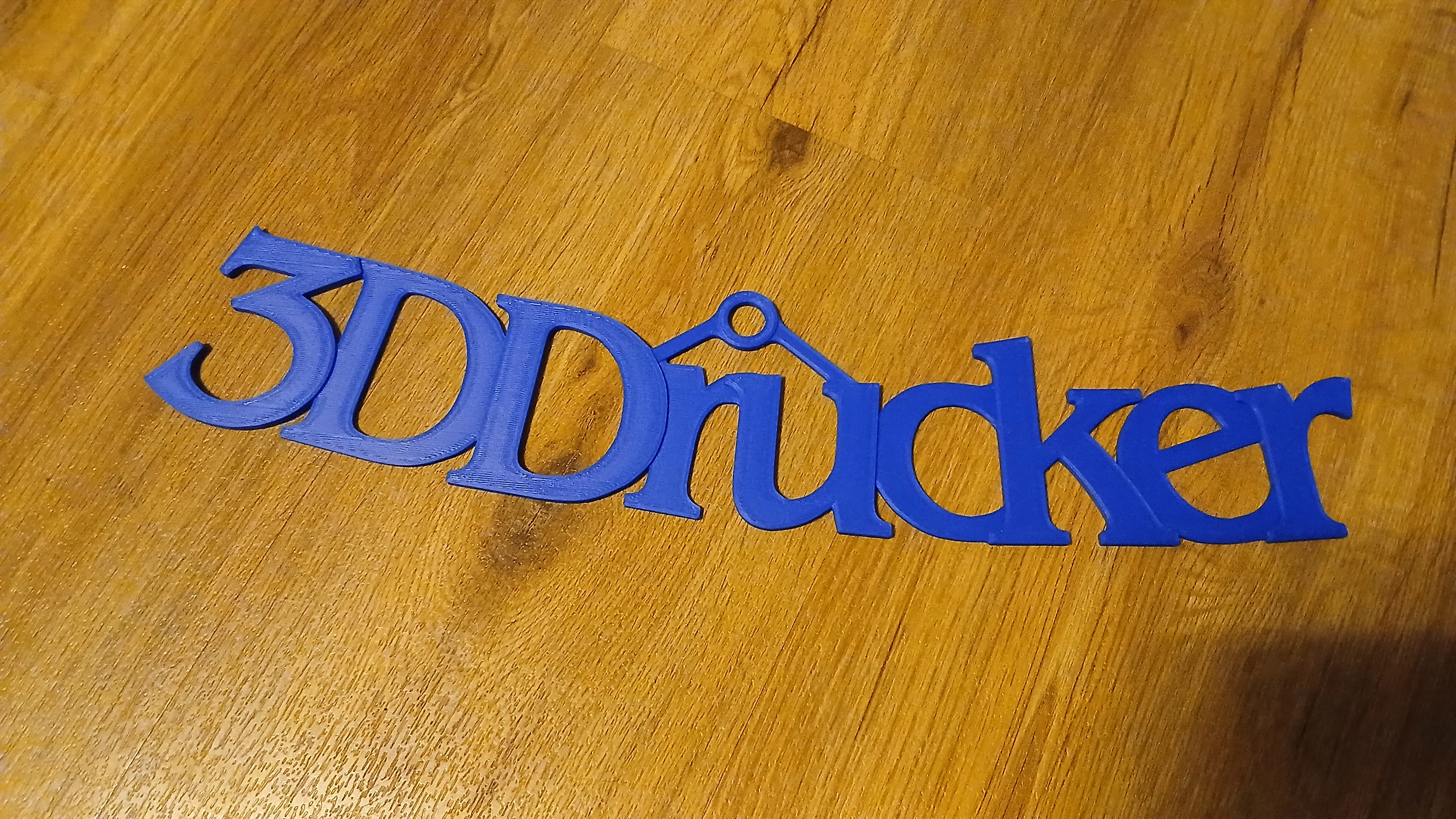 Logo / Schriftzug "3DDrucker"